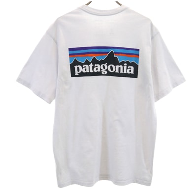 patagonia パタゴニア バックロゴ 半袖 Tシャツ S ブルーホワイト 38504SP21 アウトドア