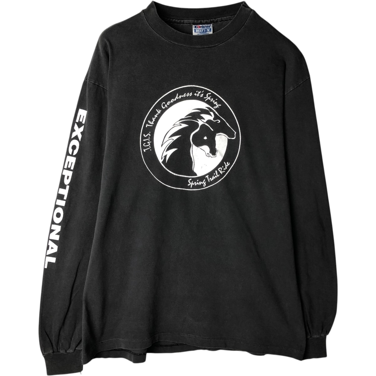 古着 90年代 ヘインズ Hanes BEEFY-T 青タグ ロングTシャツ ロンT USA製 メンズL相当 ヴィンテージ/eaa632822