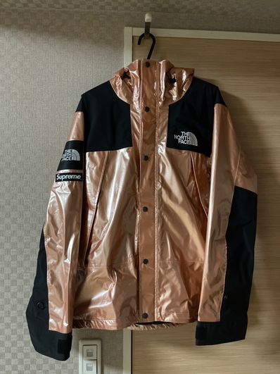 Supreme x The North Face Metallic Mountain Parka "Pink"