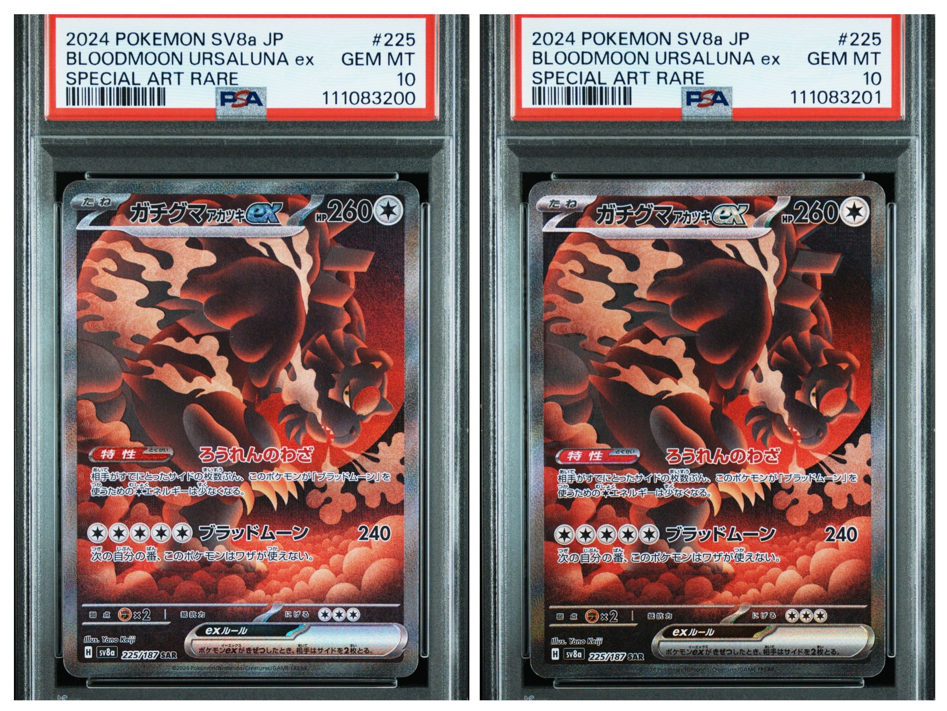 ガチグマ アカツキex SAR [SV8a 225/187](ハイクラスパック「テラスタルフェスex」)