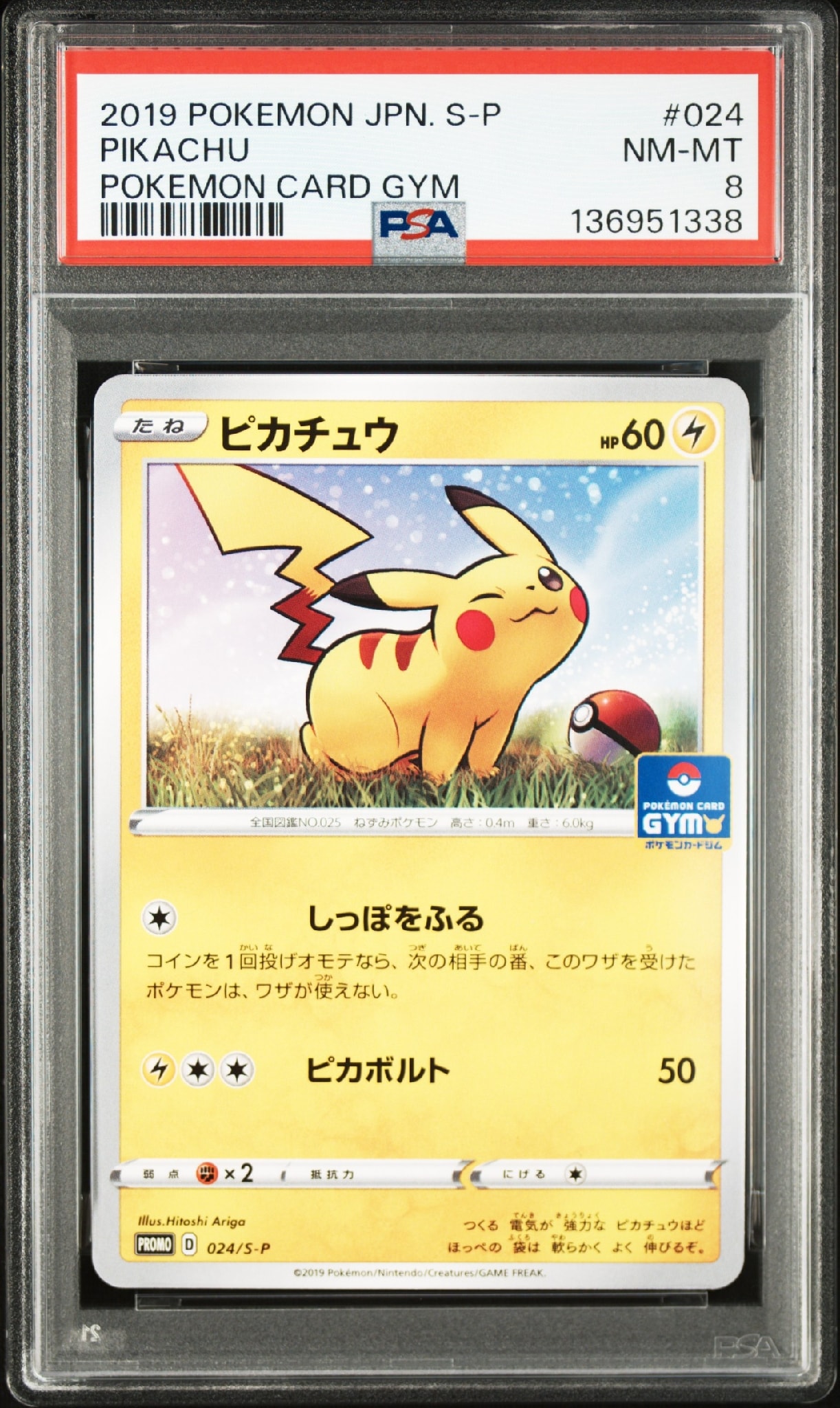 ピカチュウ: プロモ P [S-P 024](ポケモンカードゲーム ソード