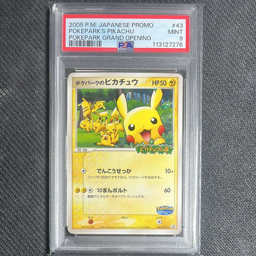 ポケパークのピカチュウ P [PCG-P 043](プロモーションカード「ポケパーク ルギアのくるくるシップ」)