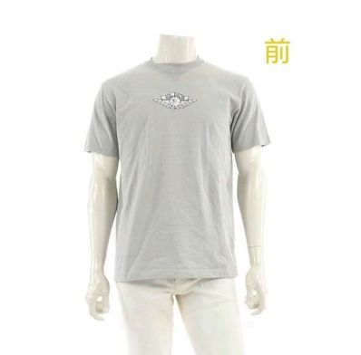 Dior x Air Jordan Wings T-Shirt "Gray"