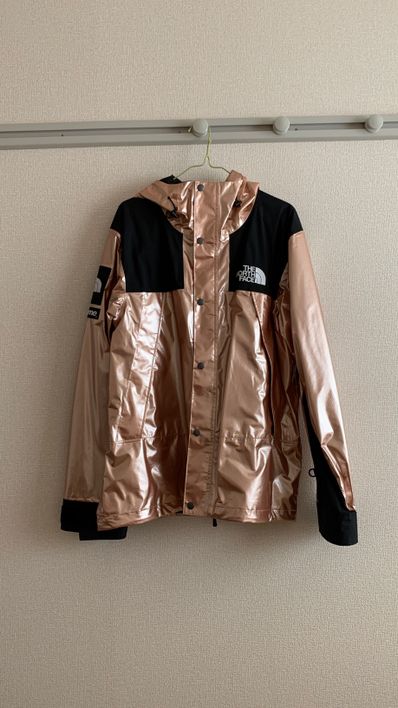 Supreme x The North Face Metallic Mountain Parka "Pink"