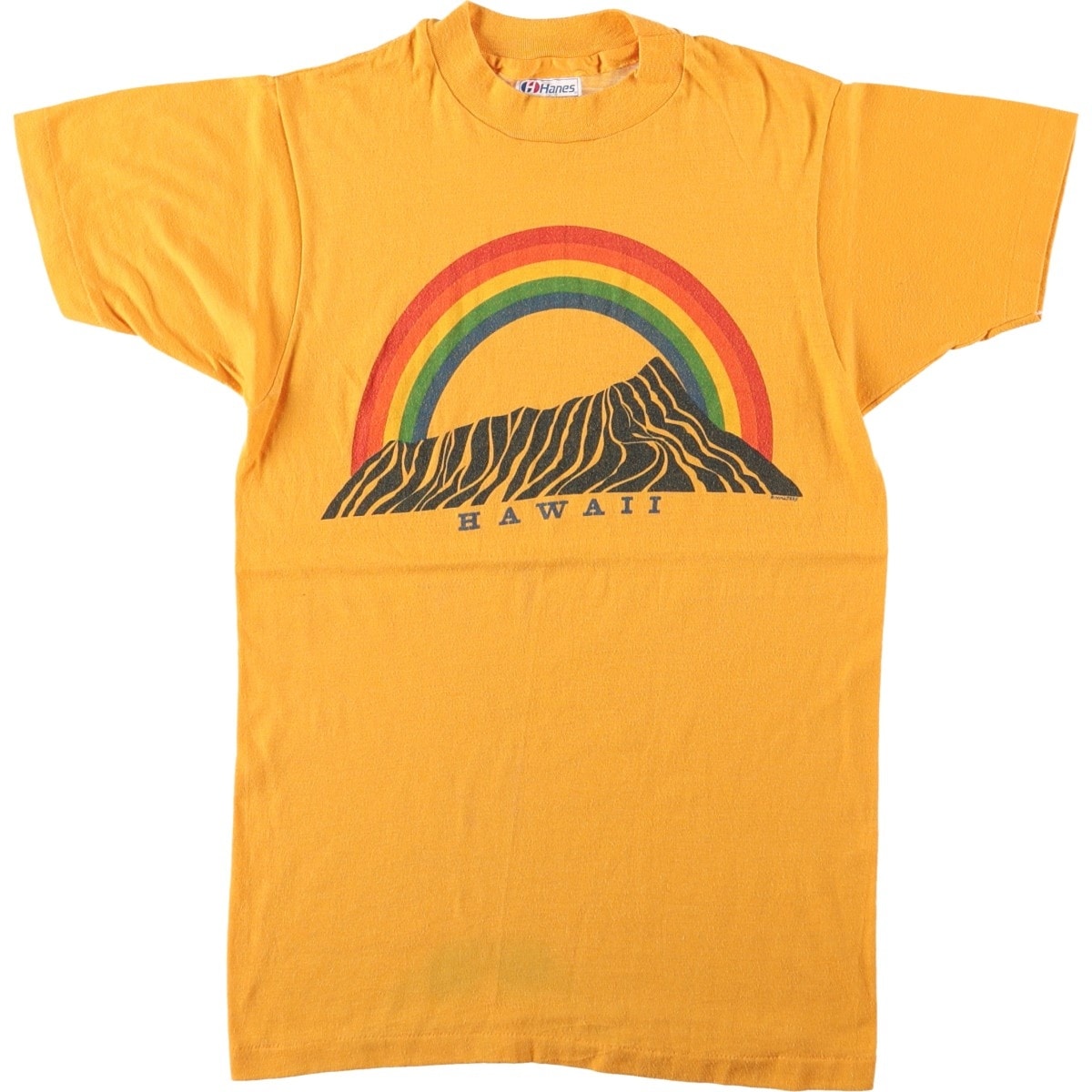 古着 80年代 ヘインズ Hanes Fifty-Fifty 青タグ スーベニアTシャツ USA製 メンズS相当 ヴィンテージ/eaa684967