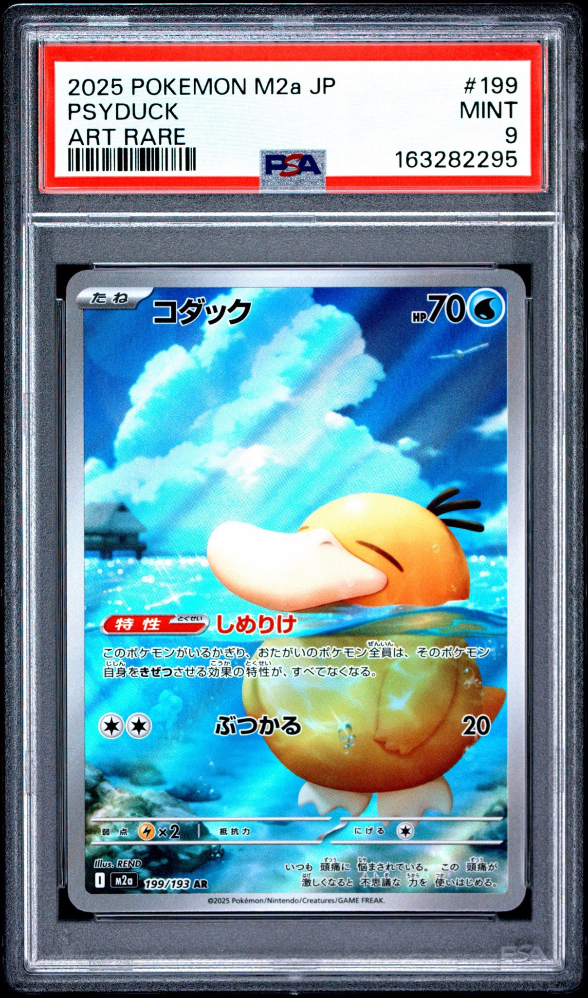 コダック AR [M2a 199/193](ハイクラスパック「MEGAドリームex」)