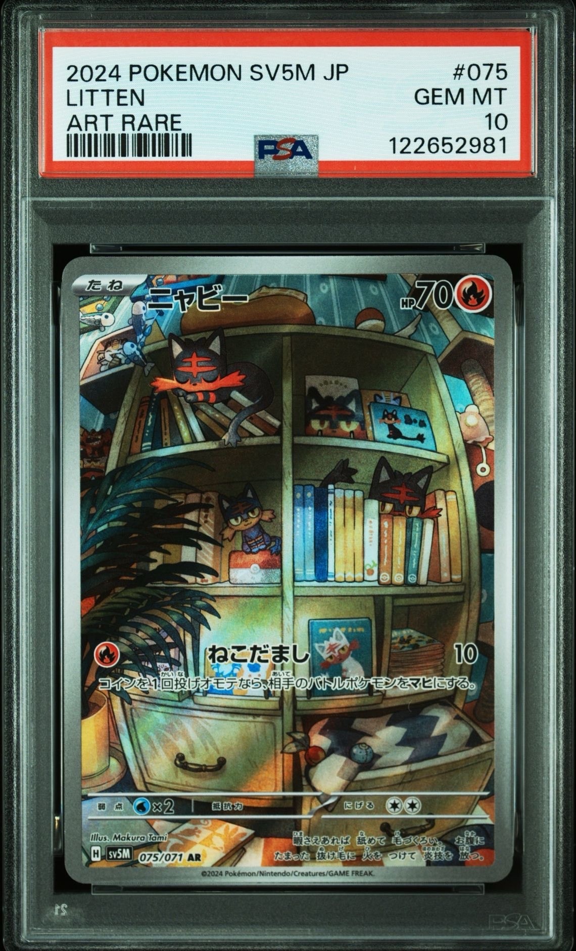 Litten AR [SV5M 075/071](Expansion Pack "Cyber Judge" )