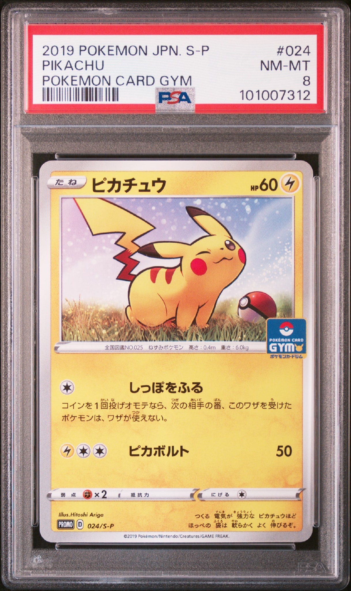 ピカチュウ: プロモ P [S-P 024](ポケモンカードゲーム ソード