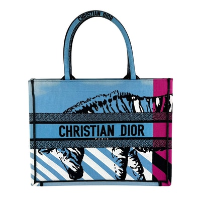 クリスチャンディオール Christian Dior ハンドバッグ ブックトート ミディアム キャンバス ブルー/ピンク/ブラック レディース【中古】 z10081