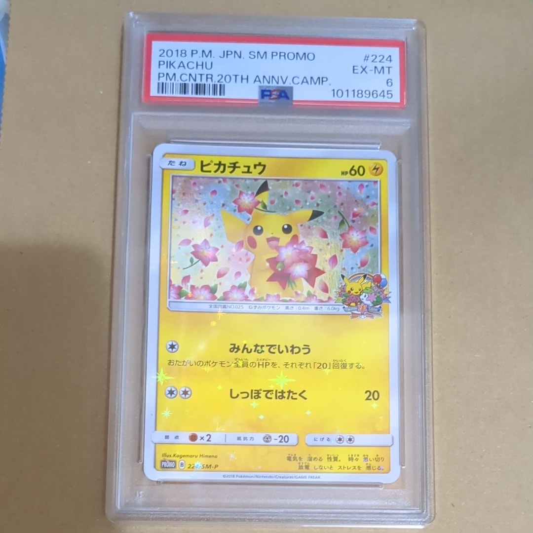 ピカチュウ: プロモ[SM-P 224](プロモーションカード「SM-P」)