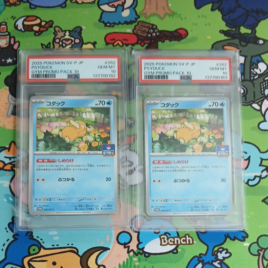 コダック P [SV-P 262](プロモカードパック「第10弾」)の新品/中古