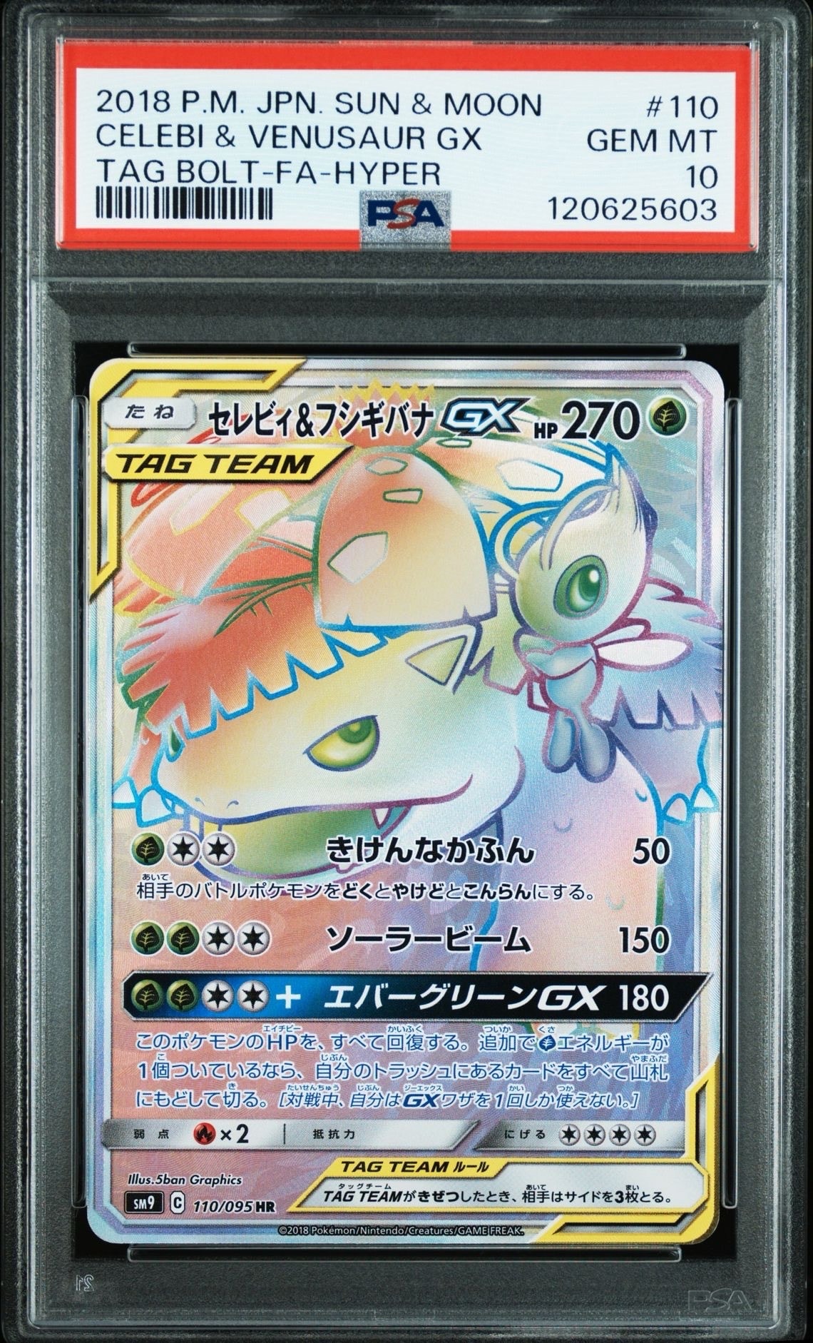 【PSA10】セレビィ&フシギバナ　SR.HR 2連番 PSA10】セレビィ&フシギバナ SR.HR 2連番 ポケカ セレビィ&フシギバナ