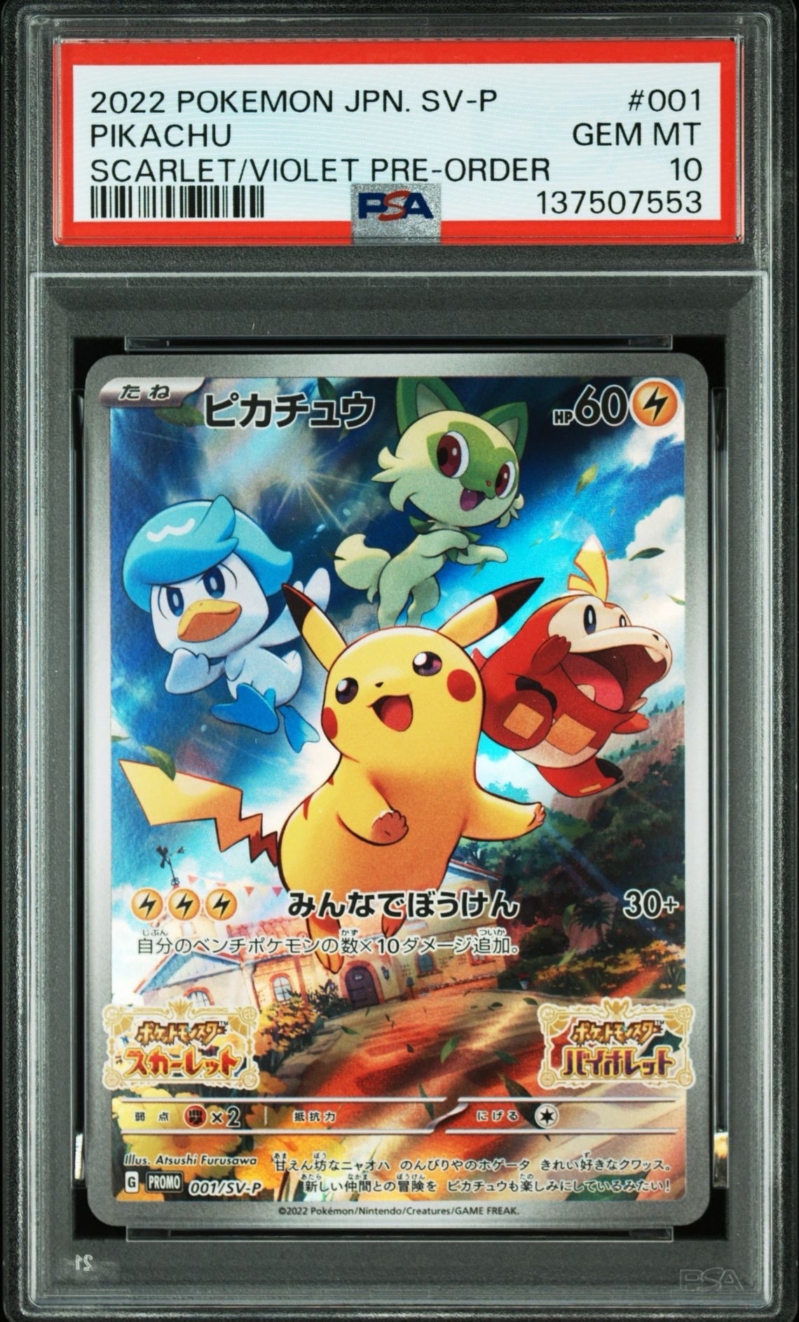 PSA10】おいわいファンファーレ: プロモ[S-P 254](プロモーション