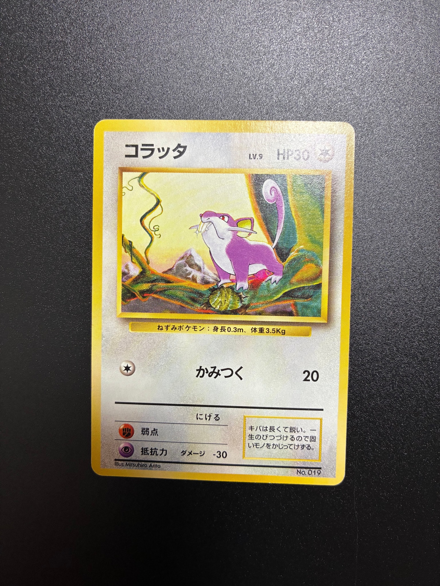 コラッタ 初版 旧裏 ポケモンカード 1996 コラッタ 初版 : 旧裏 [PMCG1-1](拡張パック「ポケットモンスター