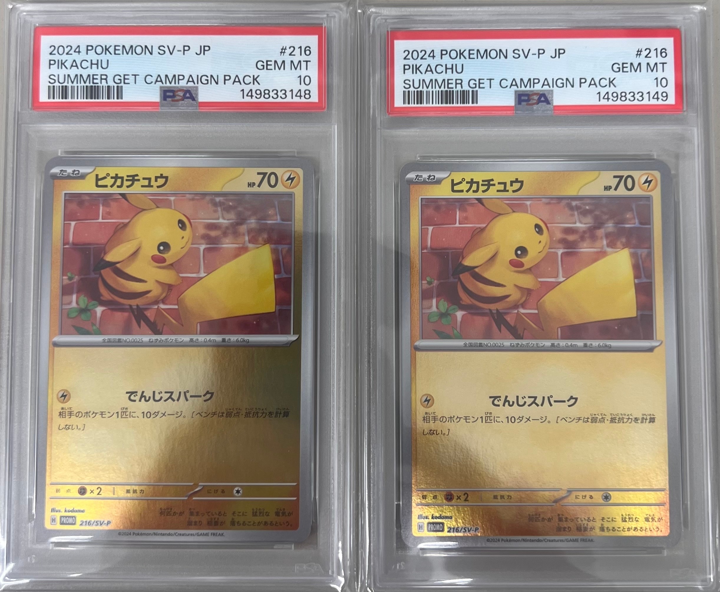 PSA10】ピカチュウ P [SV-P 216](プロモカードパック「ポケカの夏が