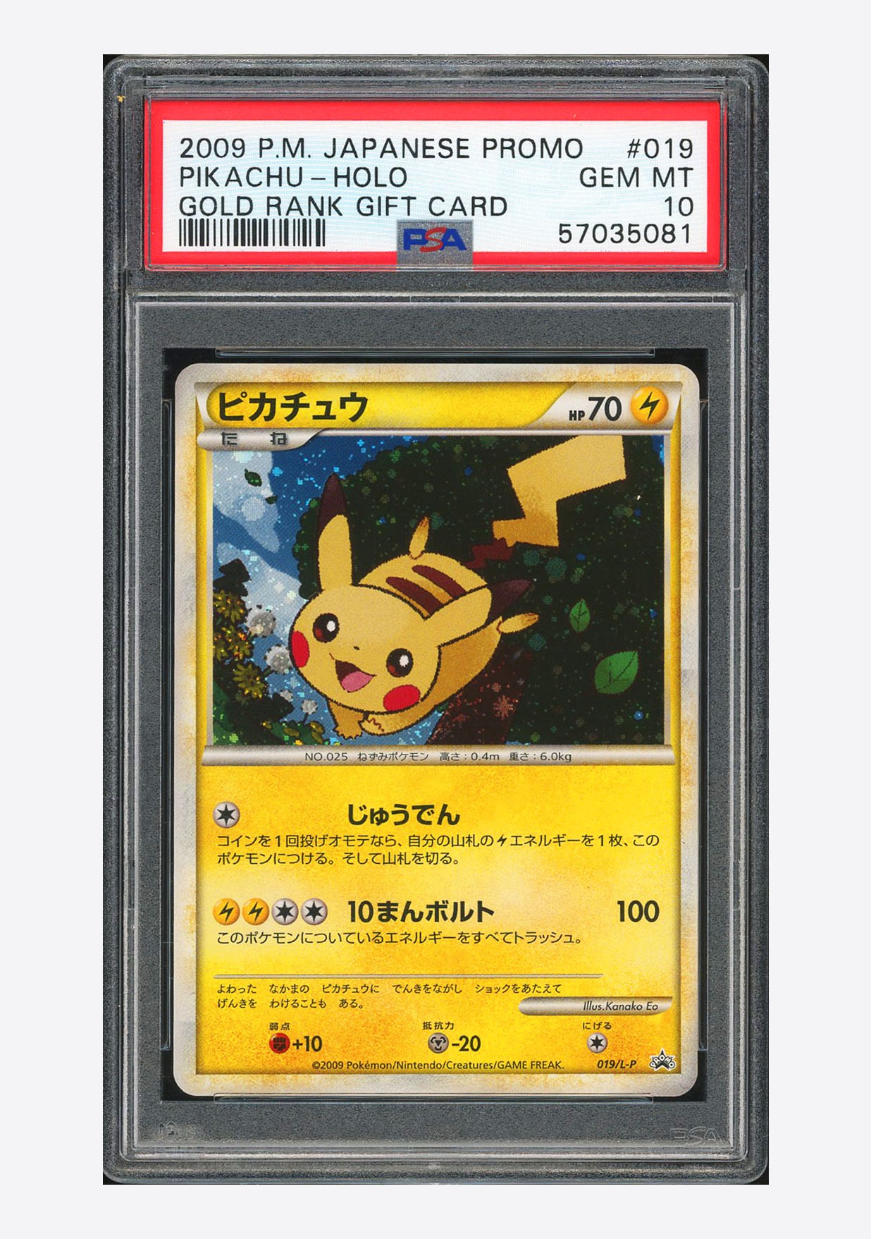 ピカチュウ: プロモ[L-P 019/L-P](プロモーションカード「L-P」)の新品