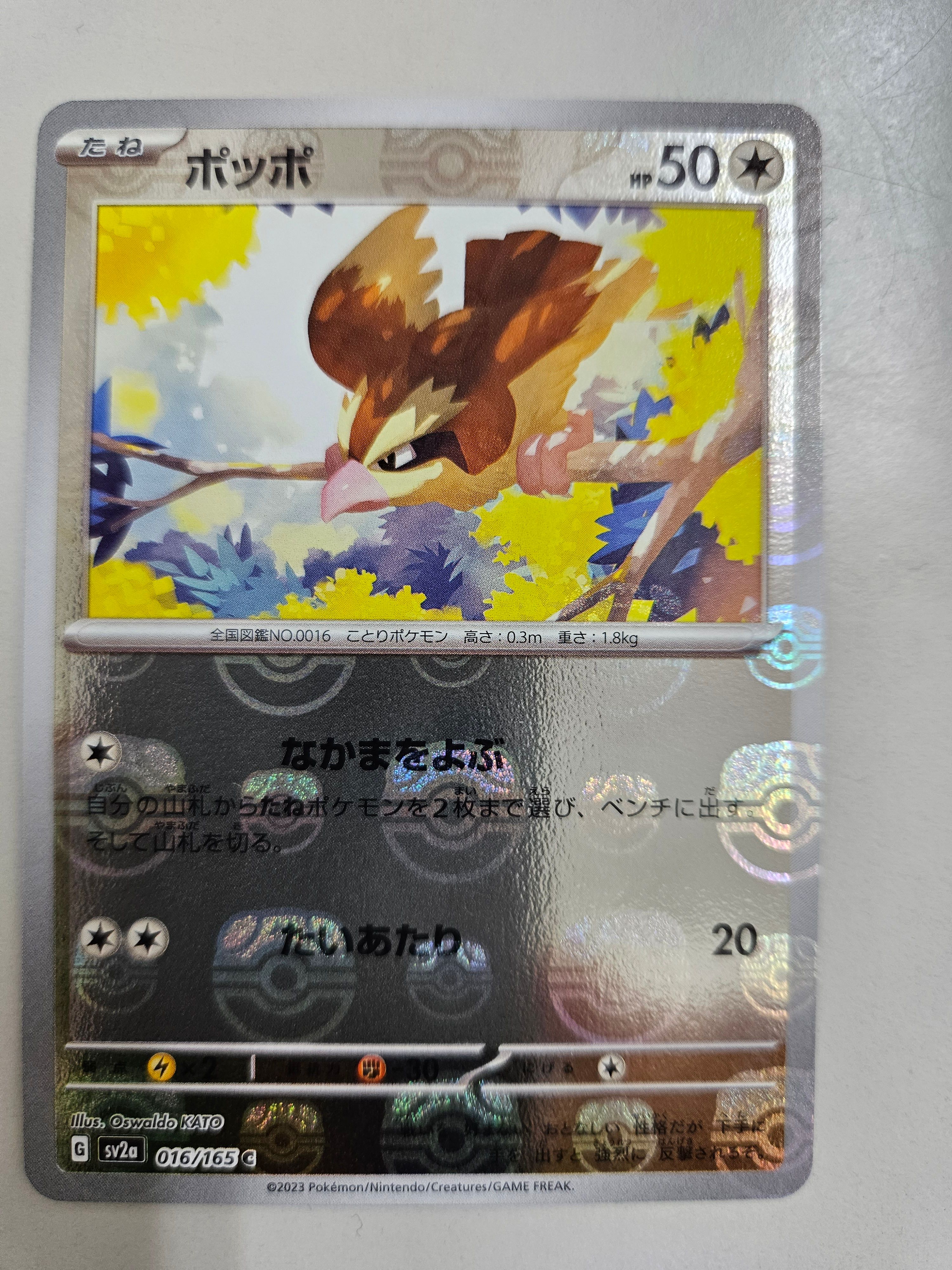 ポッポ C: マスターボールミラー[SV2a 016/165](強化拡張パック「ポケモンカード151」)