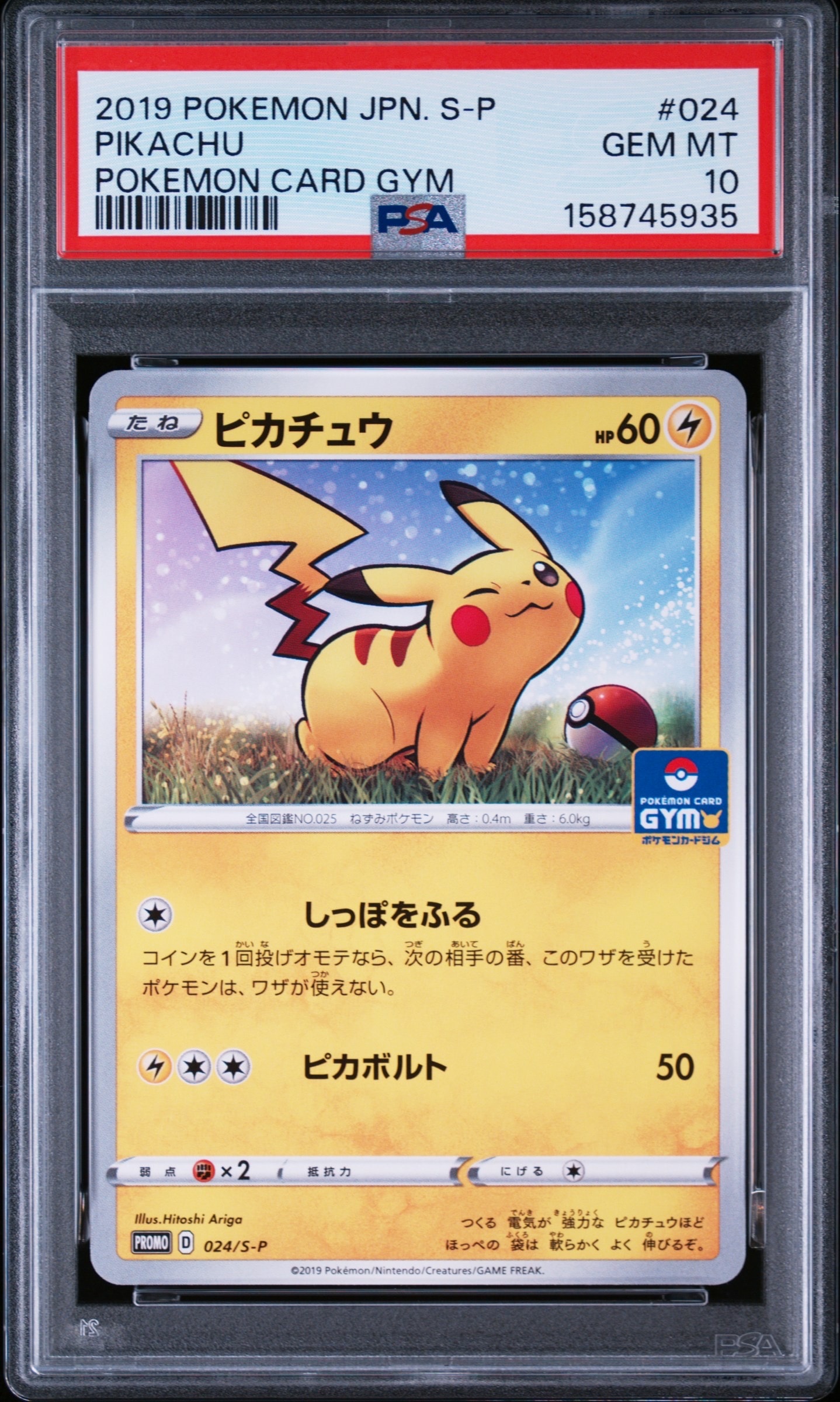 ピカチュウ: プロモ P [S-P 024](ポケモンカードゲーム ソード&シールド 「プロモカードパック 第1弾」)