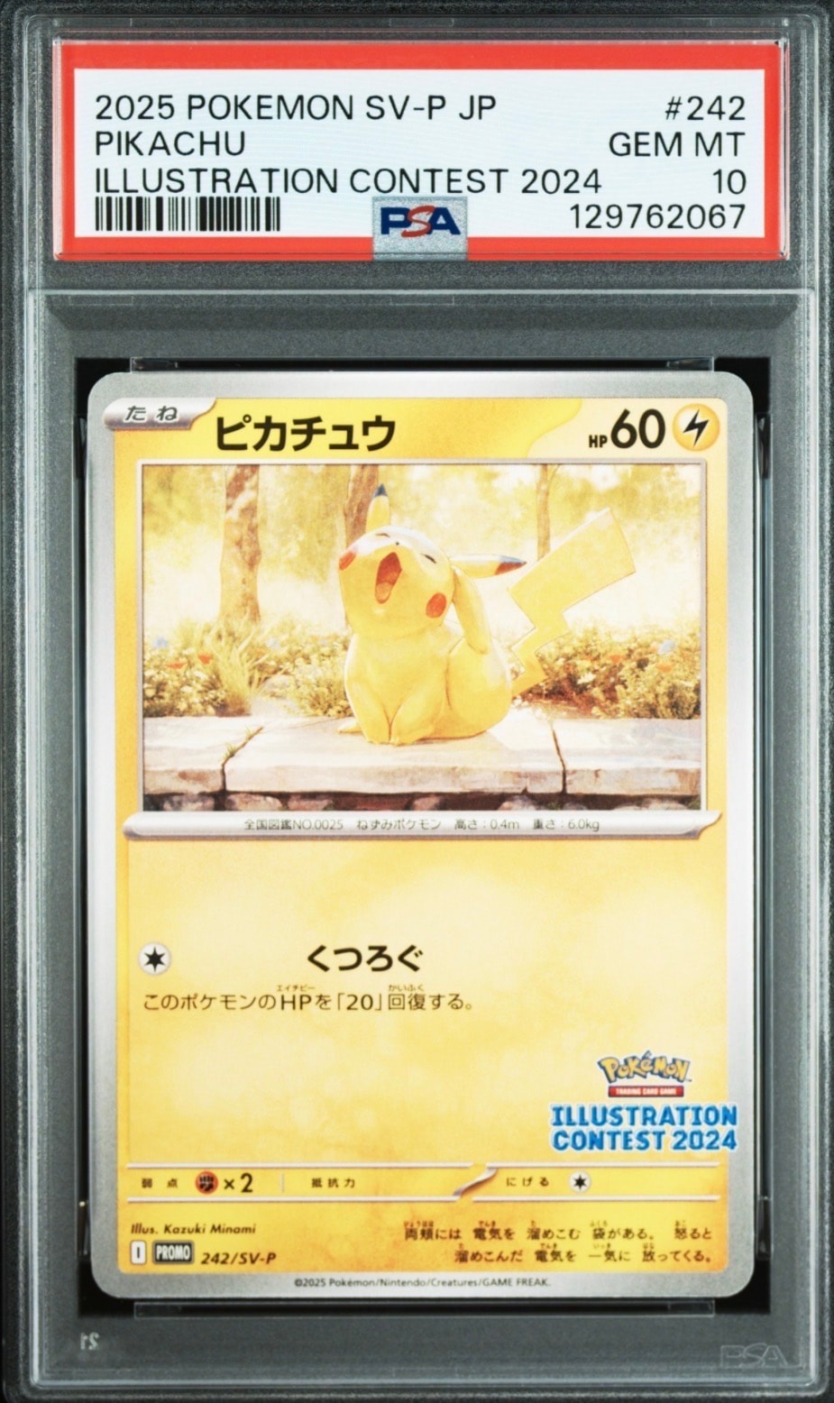 ピカチュウ [SV-P 242](プロモカードパック「イラストレーションコンテスト 2024 受賞作品プロモカード化記念キャンペーン」)