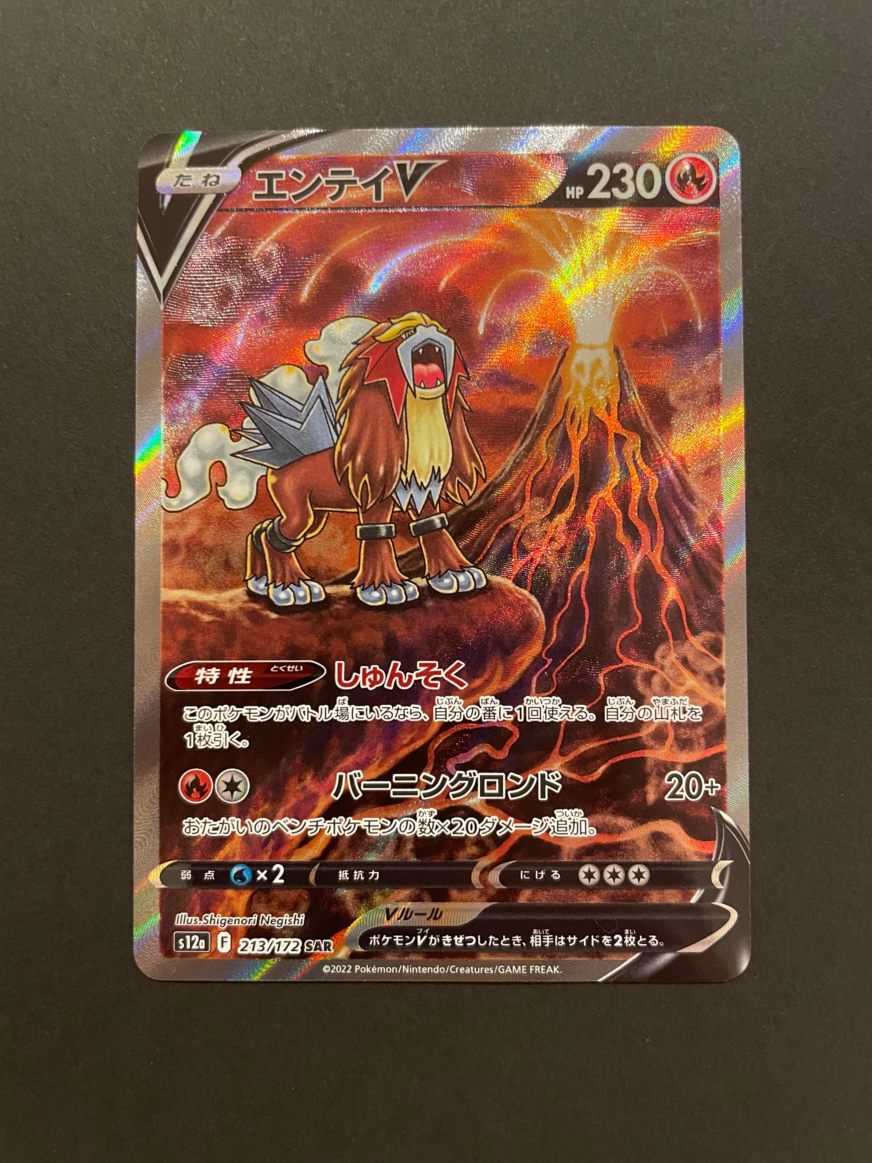 エンテイV SAR[s12a 213/172](ハイクラスパック「VSTARユニバース」)