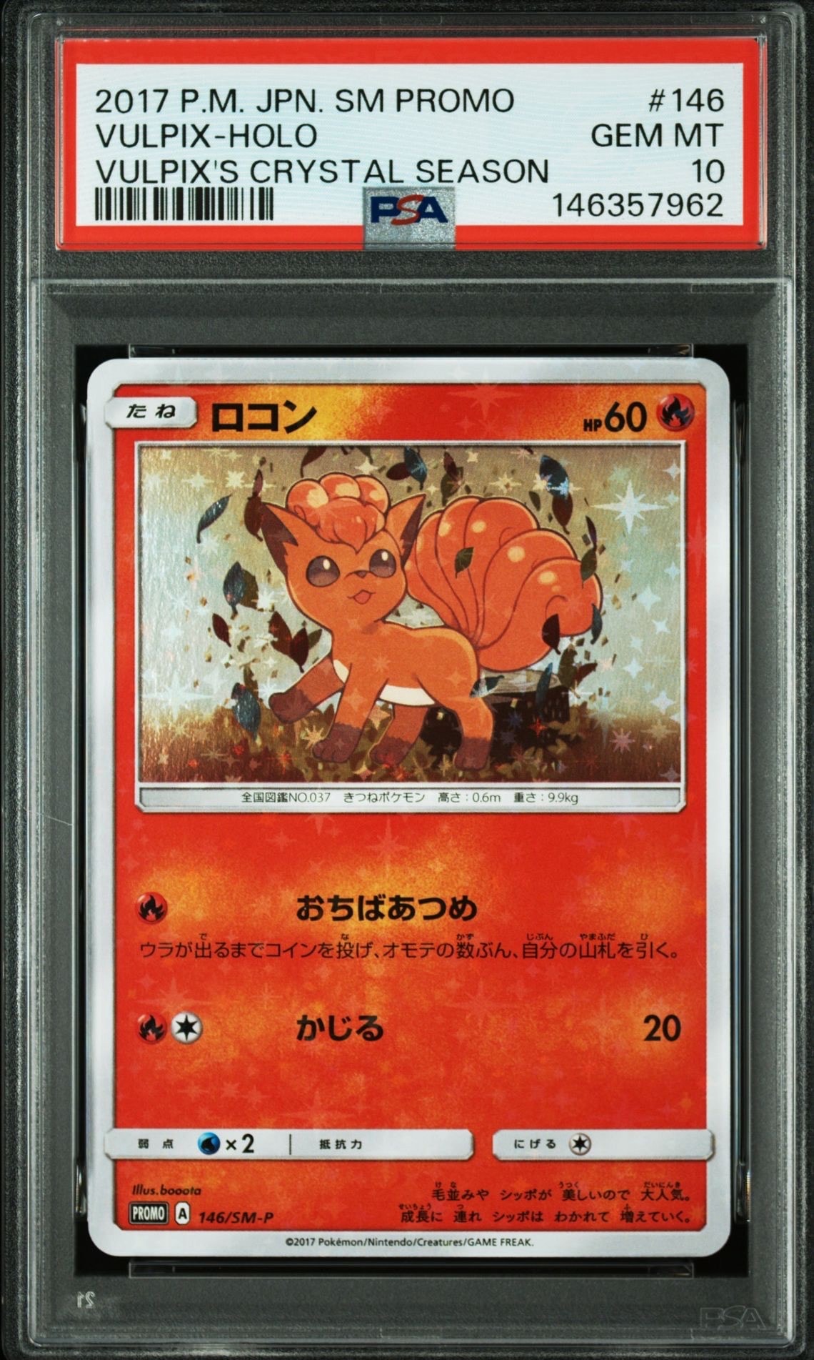 ロコン: プロモ[SM-P 146](プロモーションカード「SM-P」)