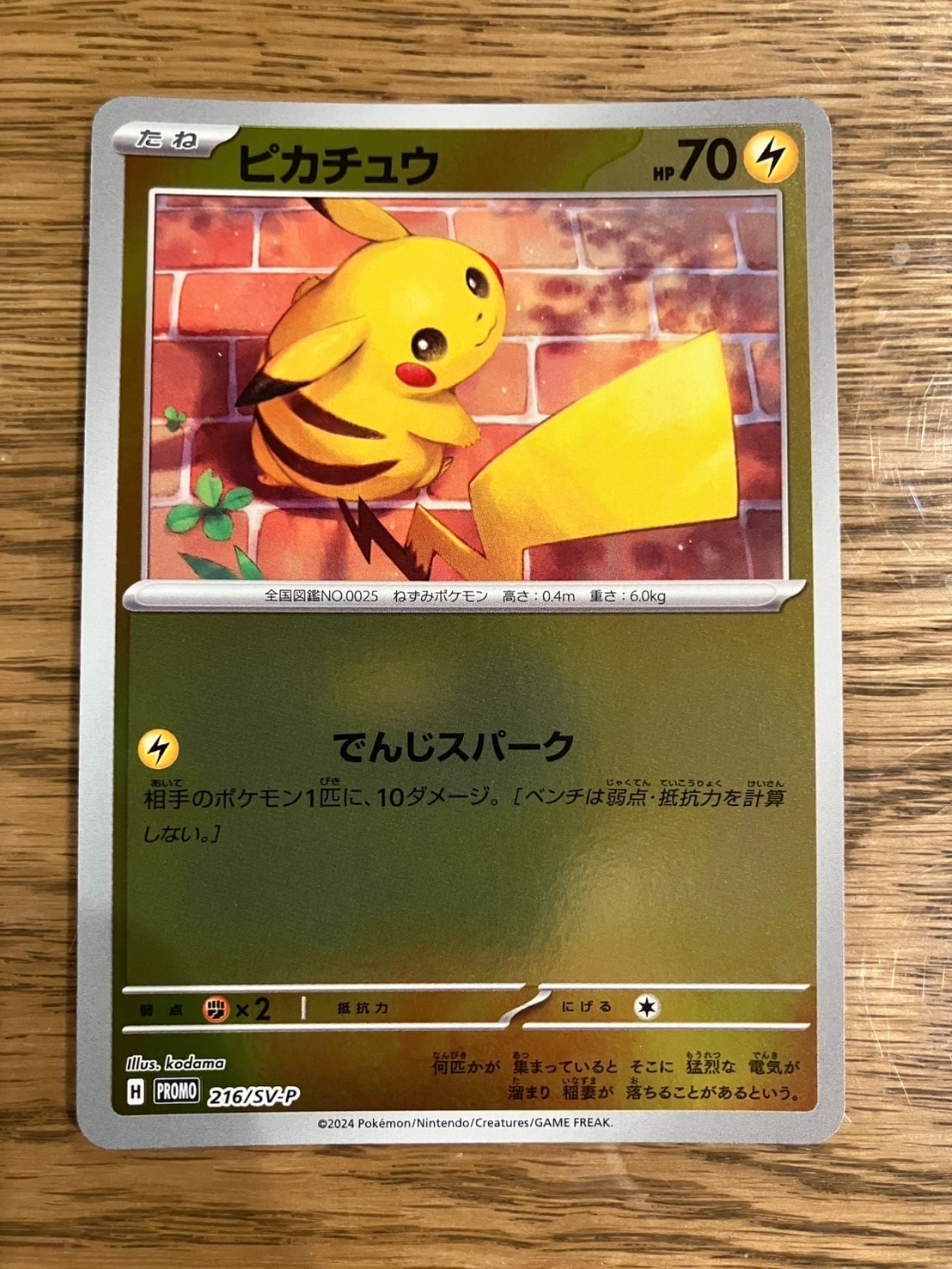 ピカチュウ P [SV-P 216](プロモカードパック「ポケカの夏がキタ!プロモカードGetキャンペーン!」)