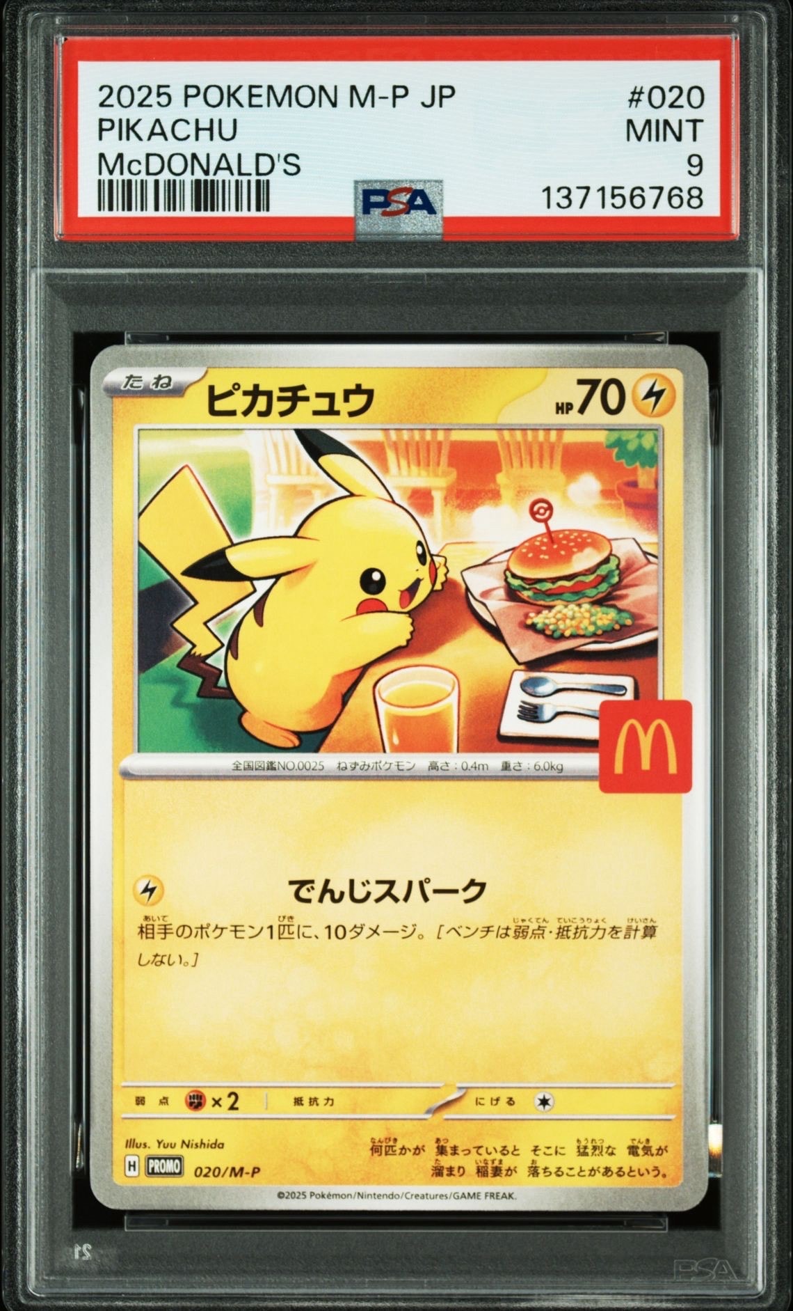 ポンチョを着たピカチュウ: プロモ (ポンチョピカチュウ) [XY-P 203/XY ポンチョを着たピカチュウ: プロモ (ポンチョピカチュウ) [XY-P 203/XY