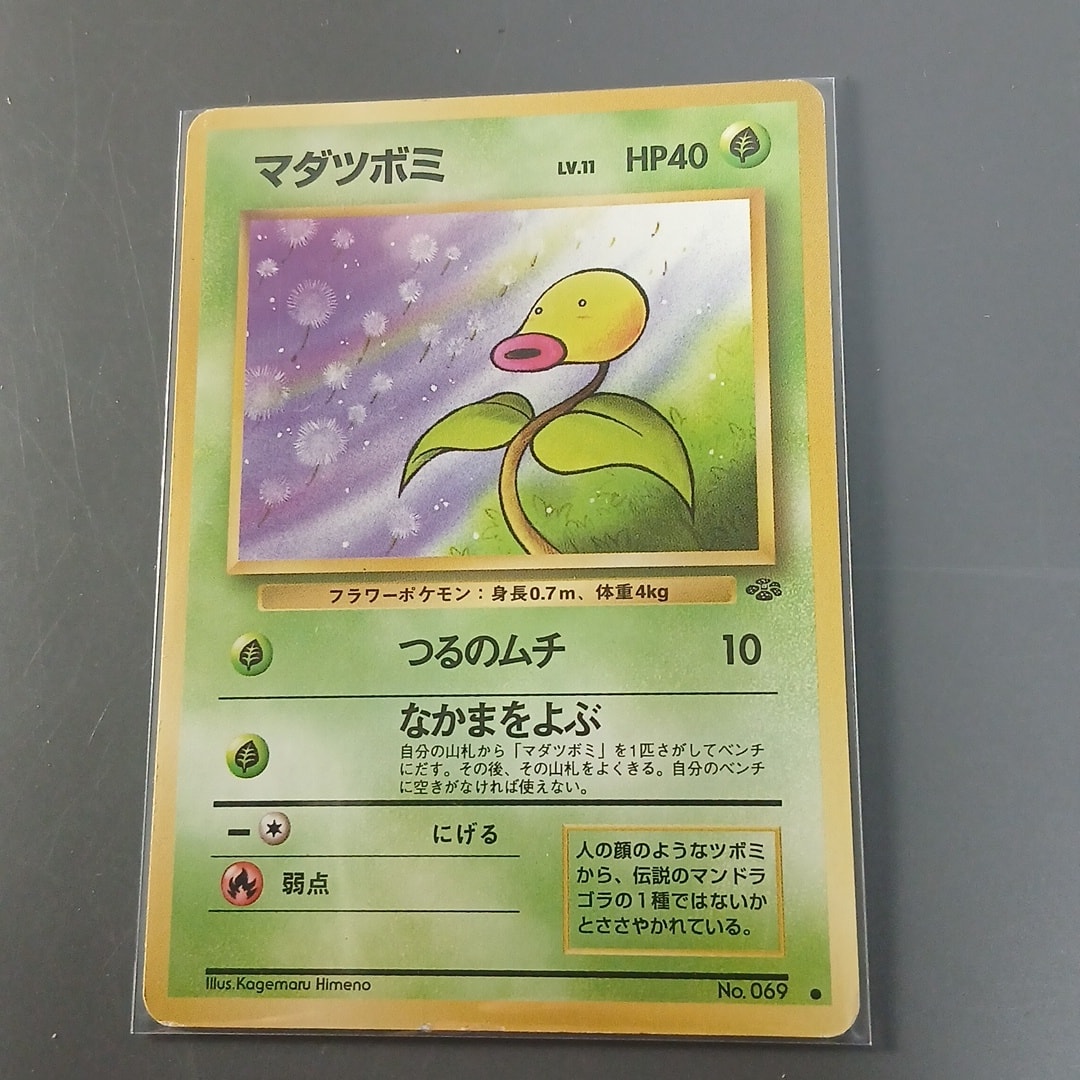 マダツボミ ● : 旧裏 [PMCG2 No.069](拡張パック「ポケモンジャングル」)