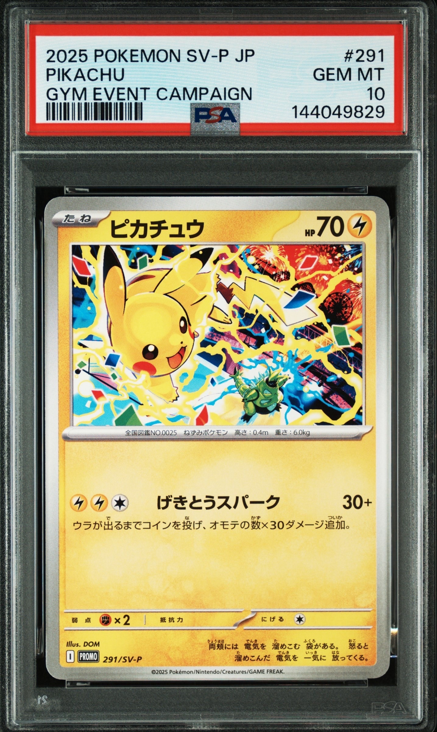 ピカチュウ P 291/SV-P Pikachu 291/SV-P Gym Event Promo 2025 Japan Promo Pokemon Card
