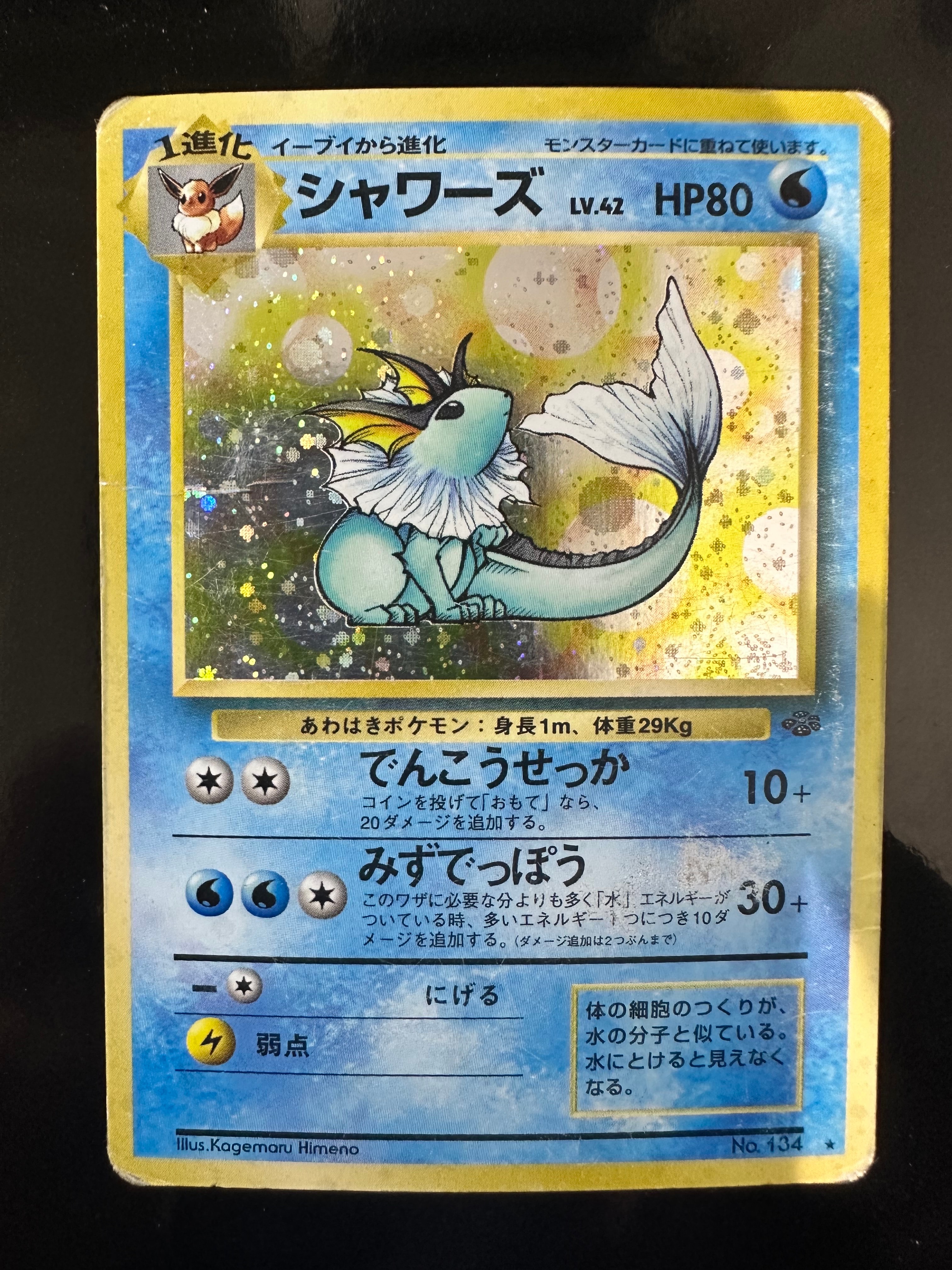 サンダースV SR: SA[S6a 079/069](強化拡張パック「イーブイヒーローズ