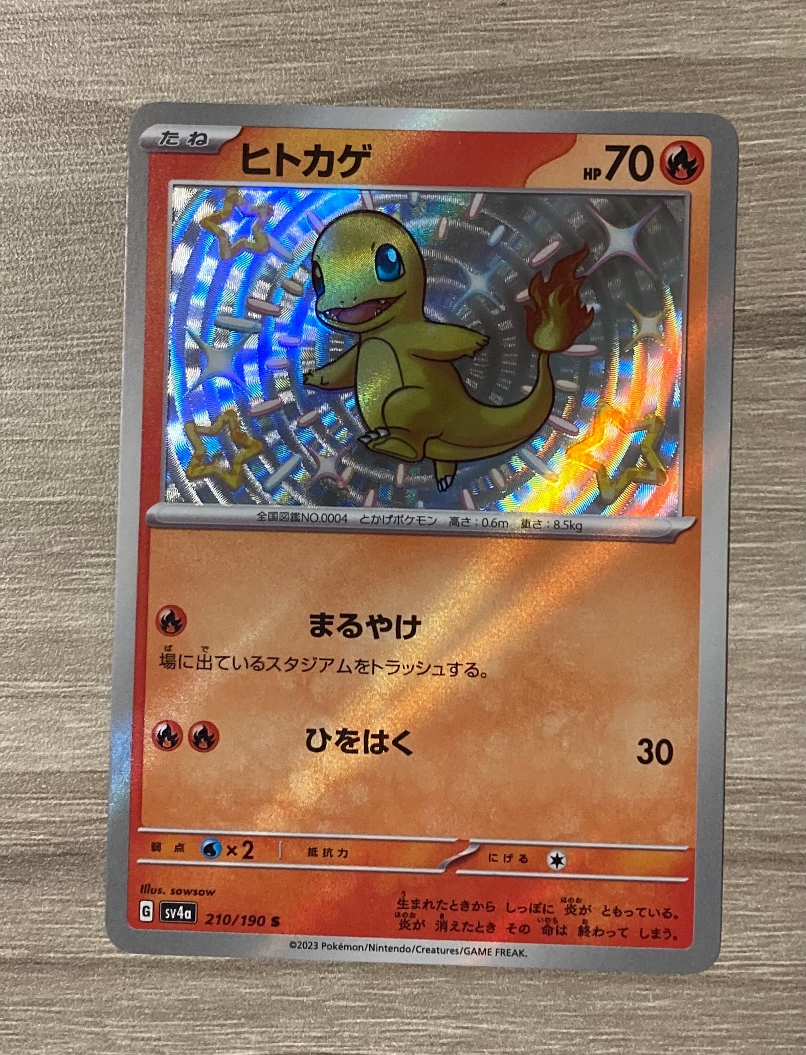 ⑤ PSA10 ヒトカゲ 210/190 S ヒトカゲ(210/190 S) | S | ドラゴンスター | ポケモンカード