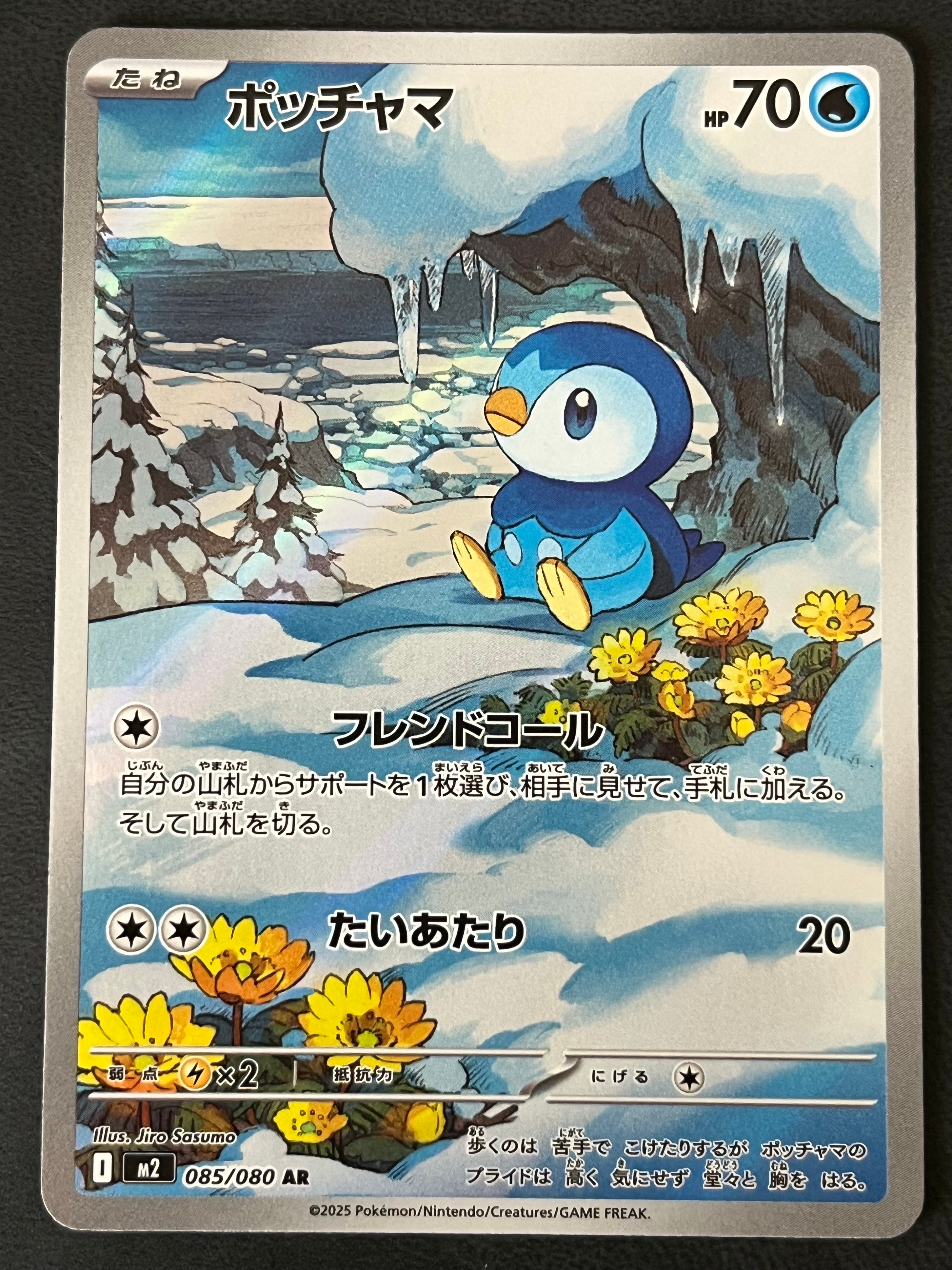 PSA10】ポッチャマ AR [M2 085/080](拡張パック「インフェルノX」) 1枚