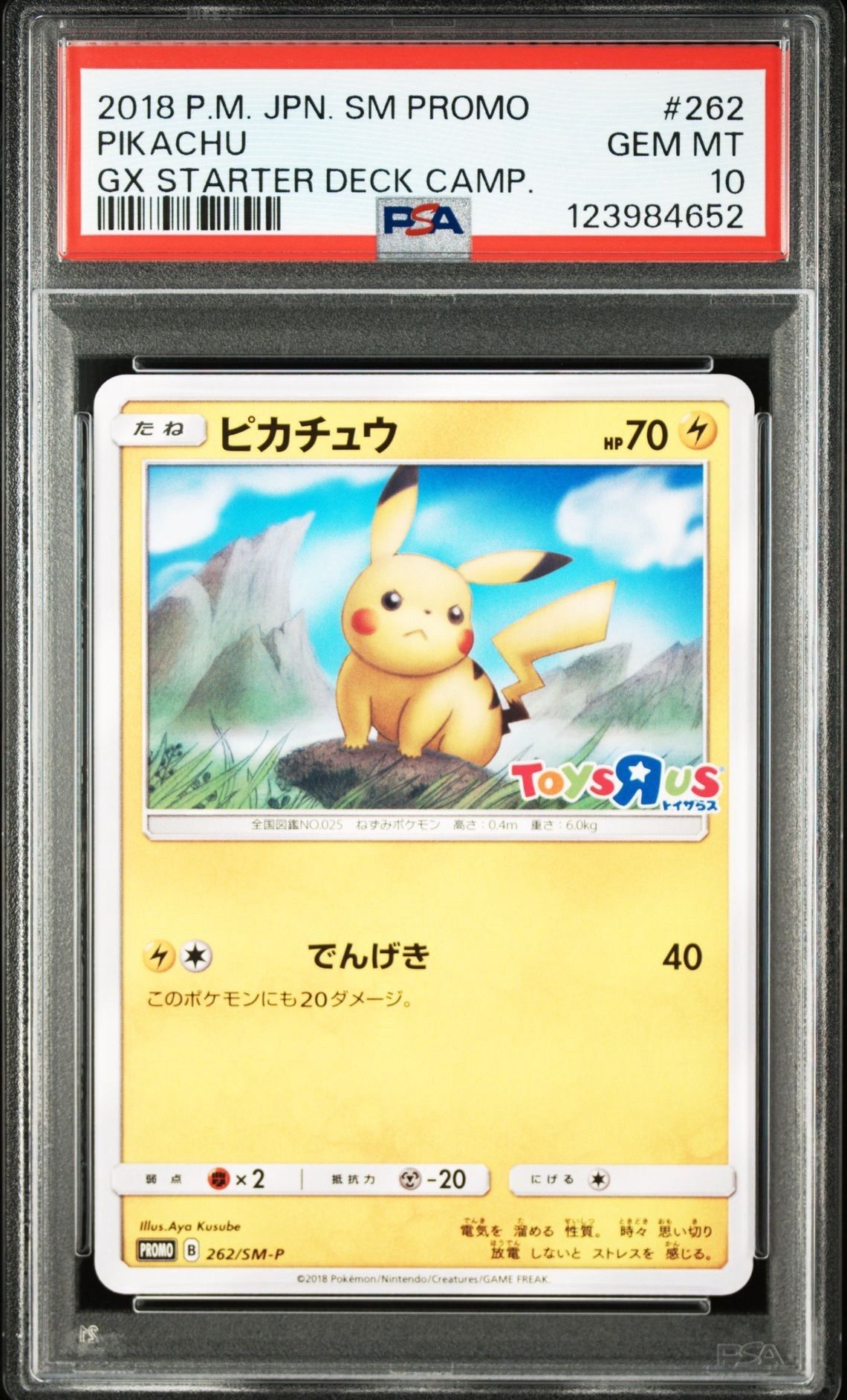 ピカチュウ: プロモ [SM-P 262](プロモーションカード psa10 ピカチュウ: プロモ [SM-P 262](プロモーションカード「SM-P」)の新品