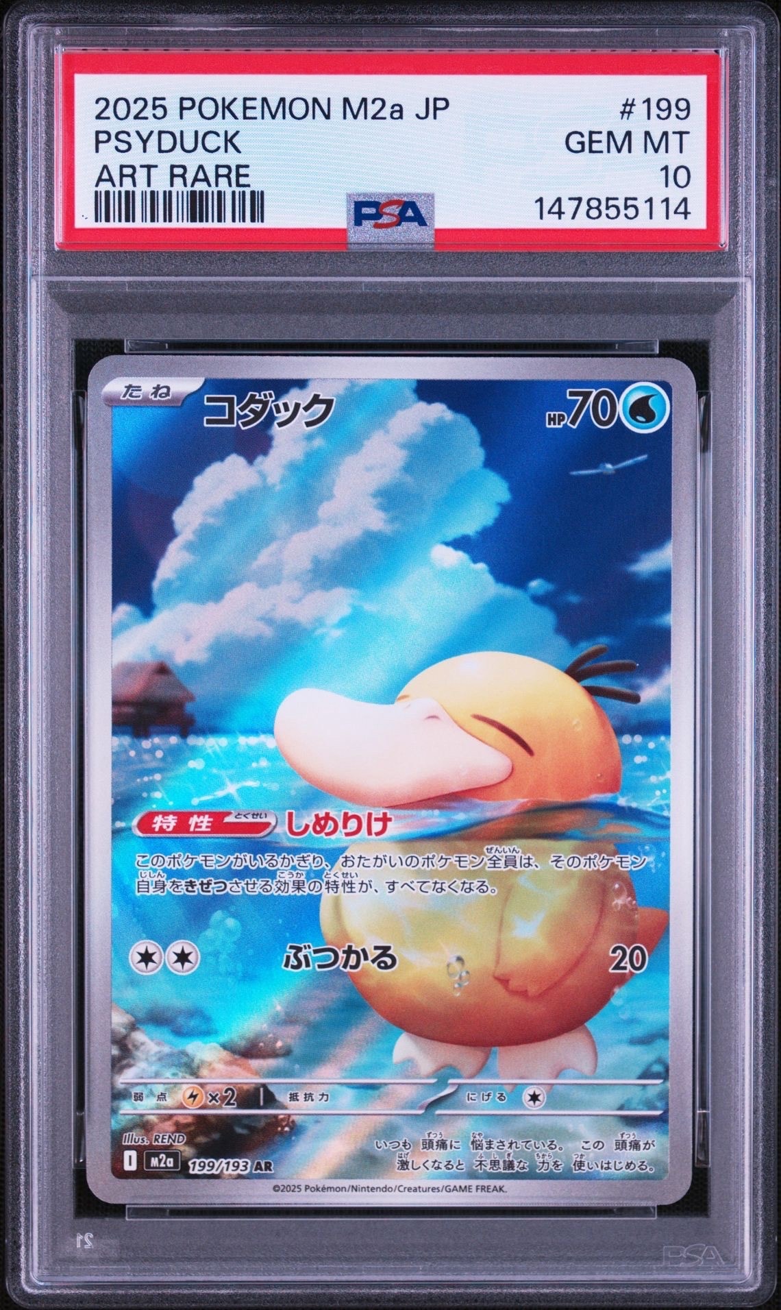 コダック AR [M2a 199/193](ハイクラスパック「MEGAドリームex」)