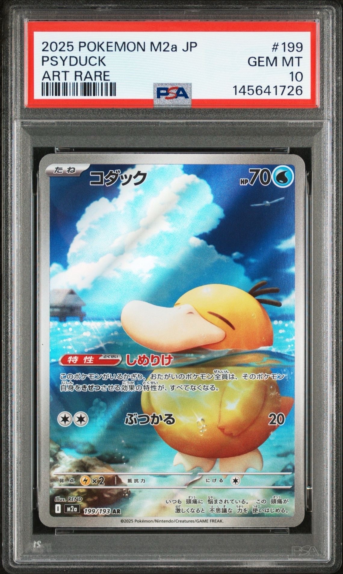 コダック AR [M2a 199/193](ハイクラスパック「MEGAドリームex」)の