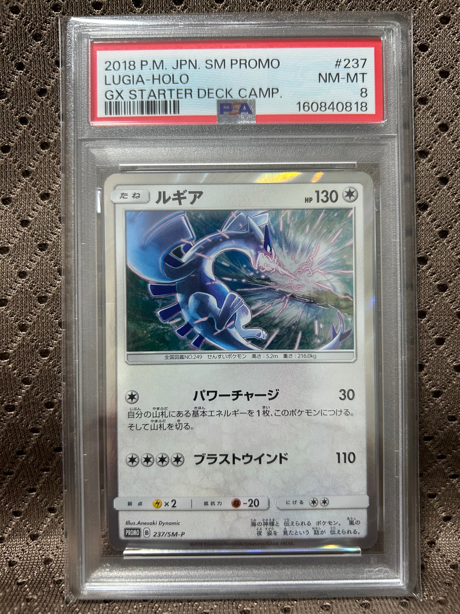 PSA10】ルギア P [SM-P 237](GXスタートデッキ「Wルギアキャンペーン