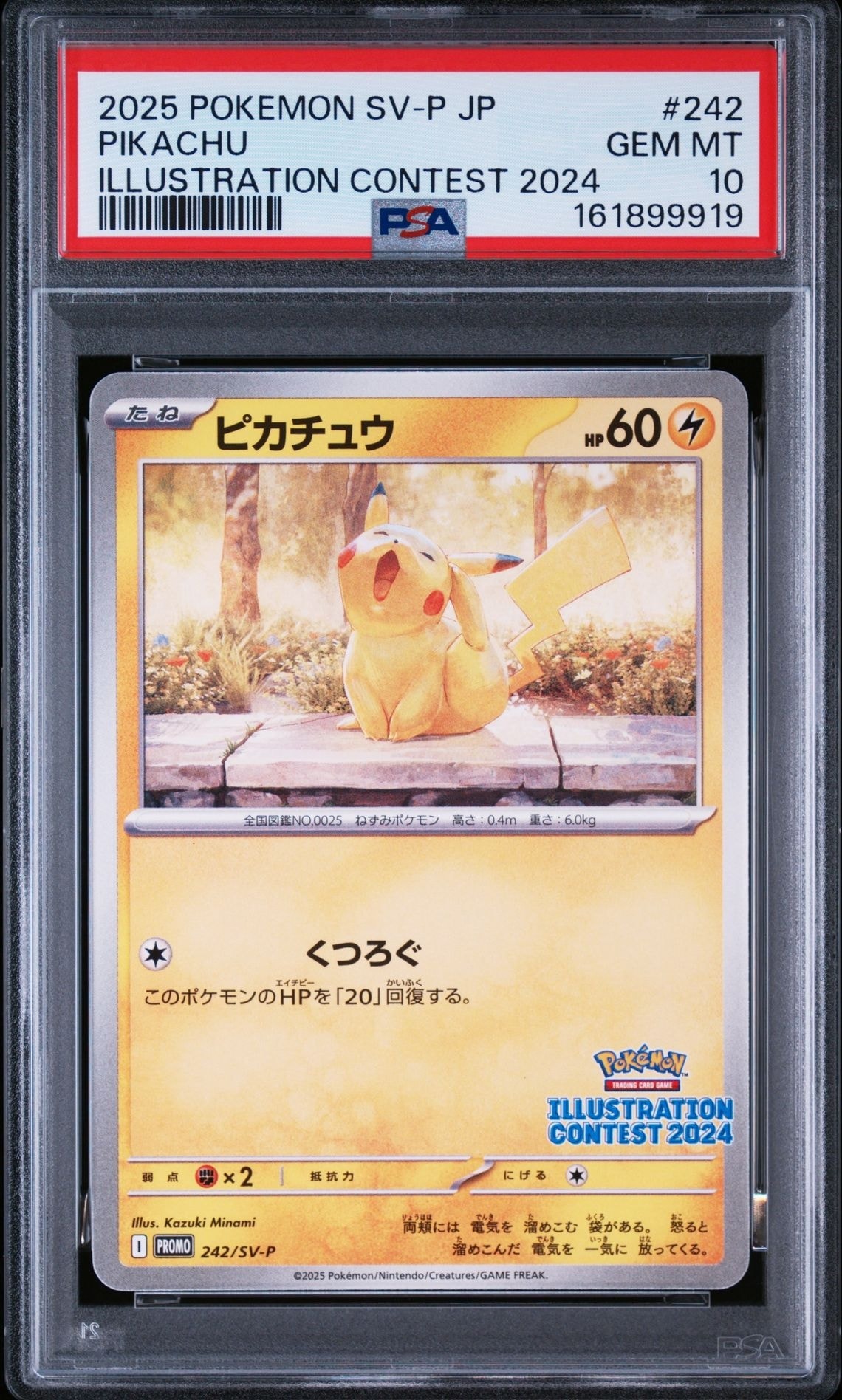 ピカチュウ [SV-P 242](プロモカードパック「イラストレーション