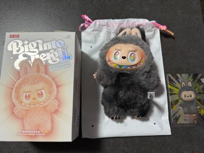 POP MART THE MONSTERS (LABUBU) Big into Energy Series Plush Pendant ID (Secret)