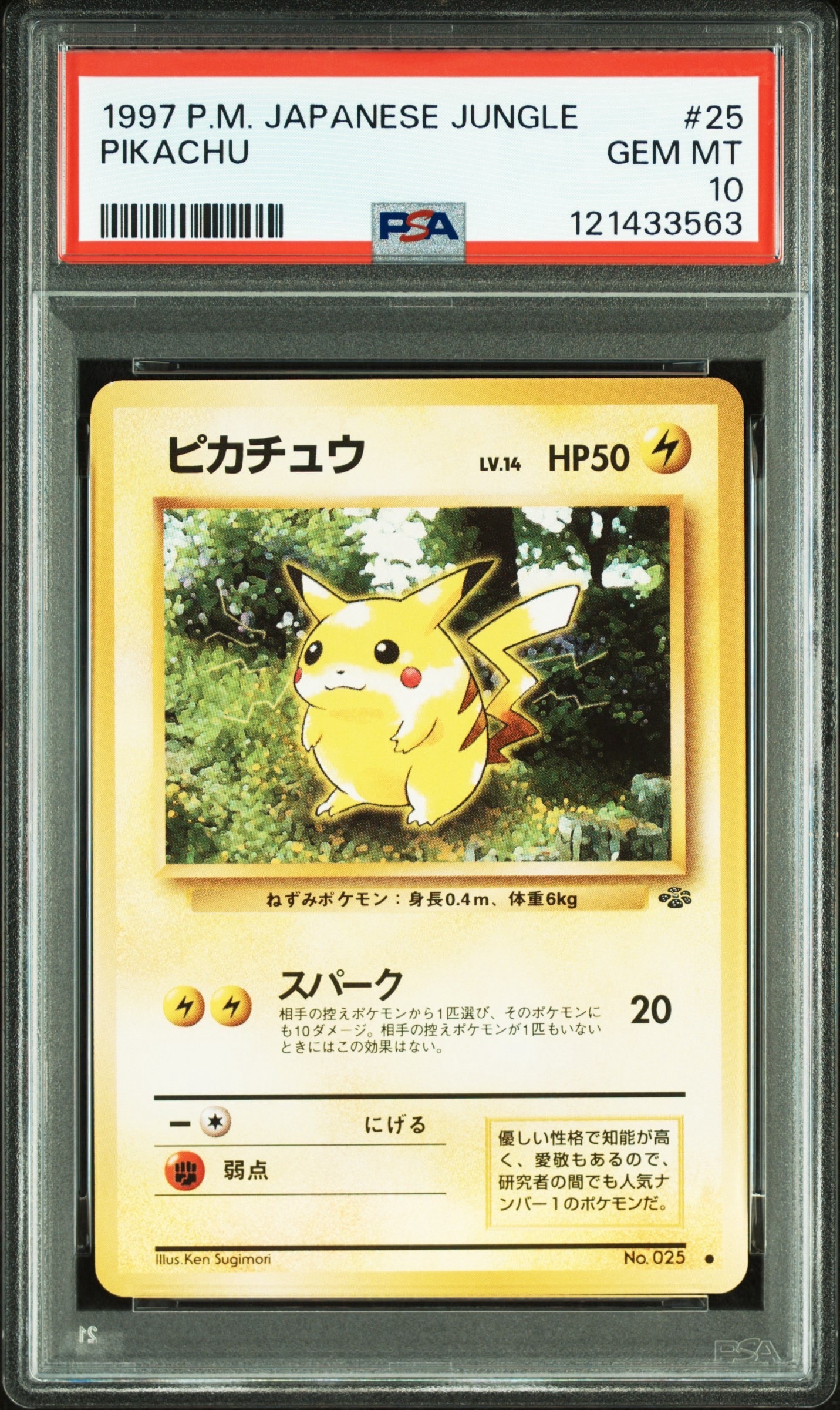 ピカチュウ ● : 旧裏 [PMCG2 No.025](拡張パック「ポケモンジャングル」)