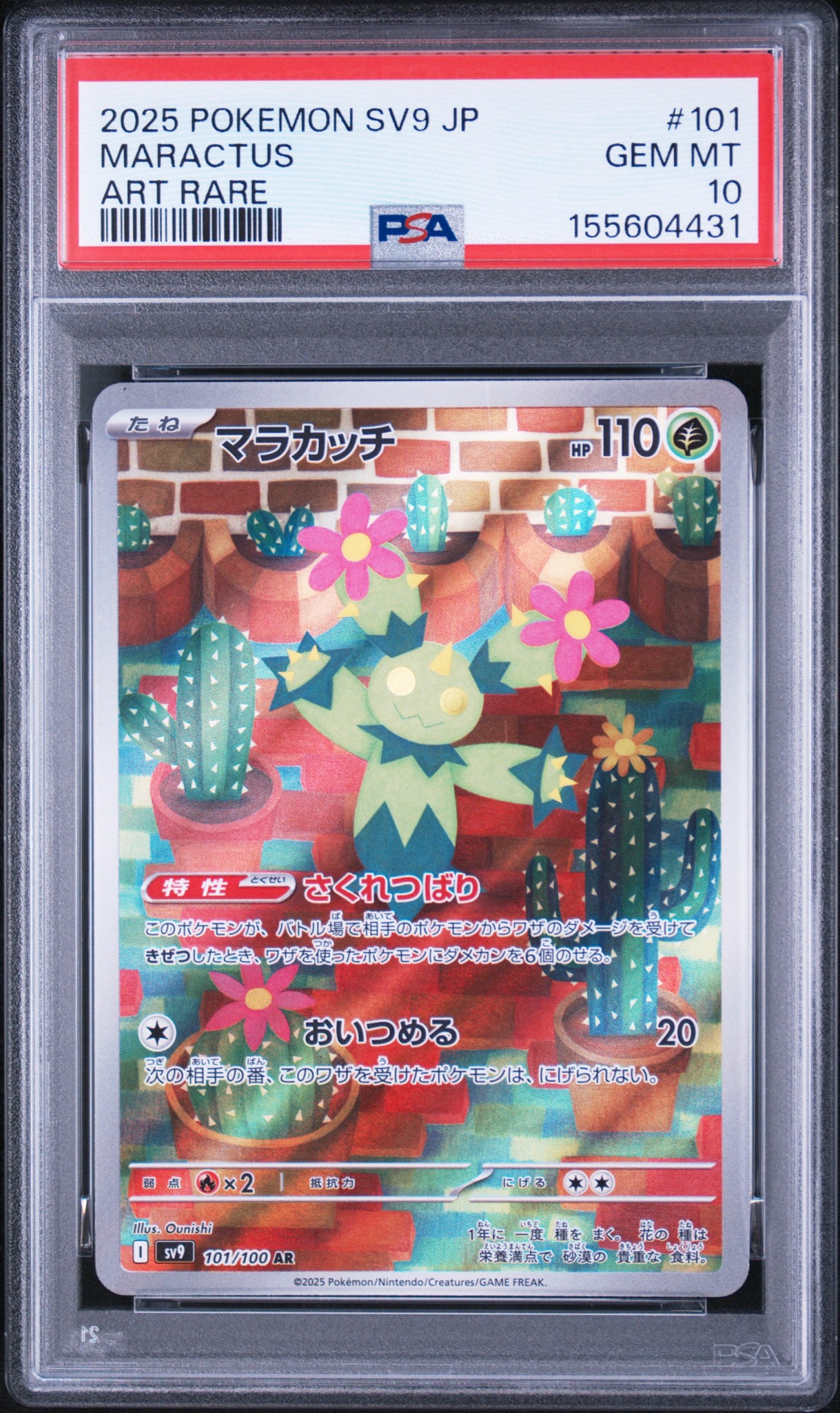 マラカッチ AR [SV9 101/100](拡張パック「バトルパートナーズ」)