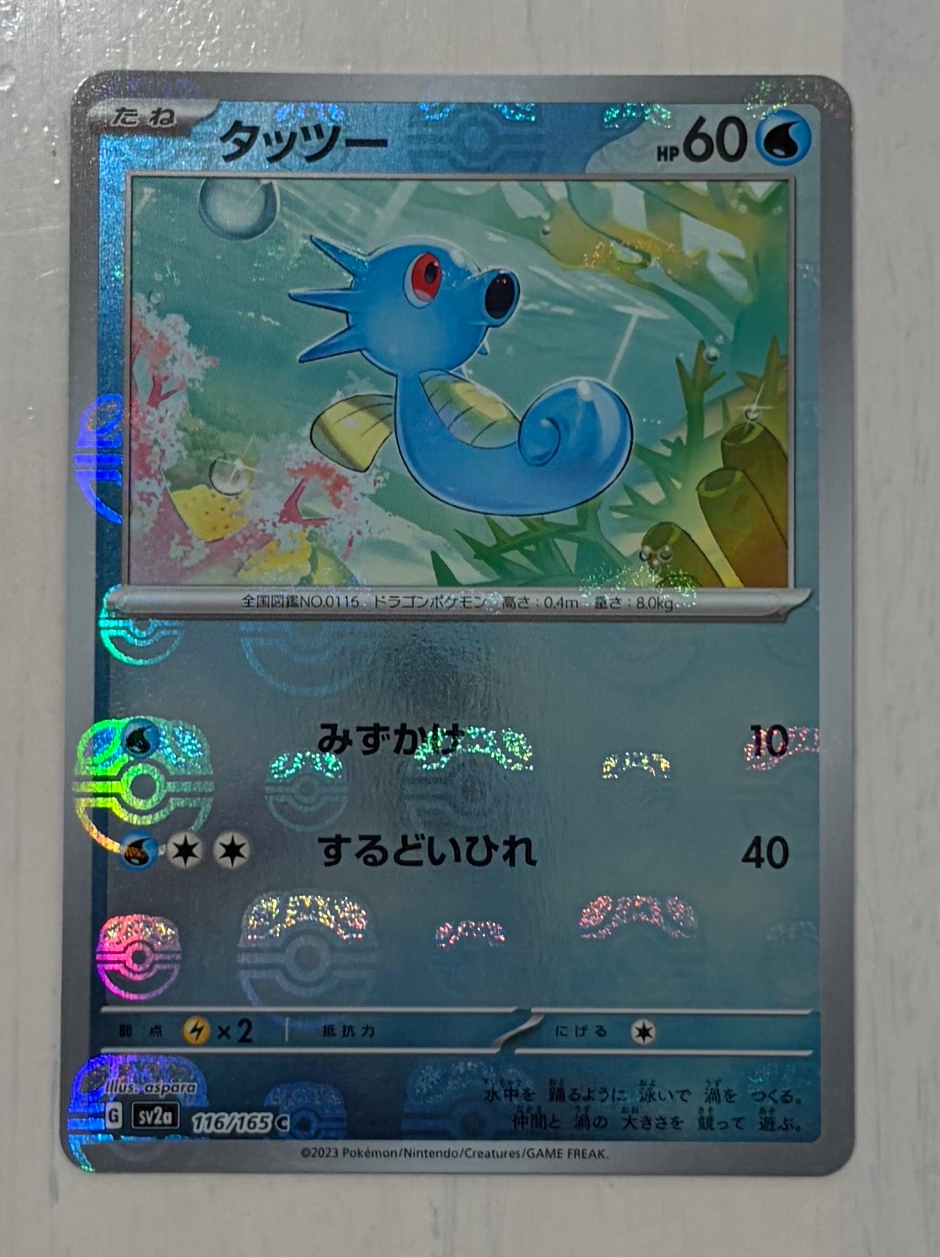 タッツー C: マスターボールミラー[SV2a 116/165](強化拡張パック「ポケモンカード151」)