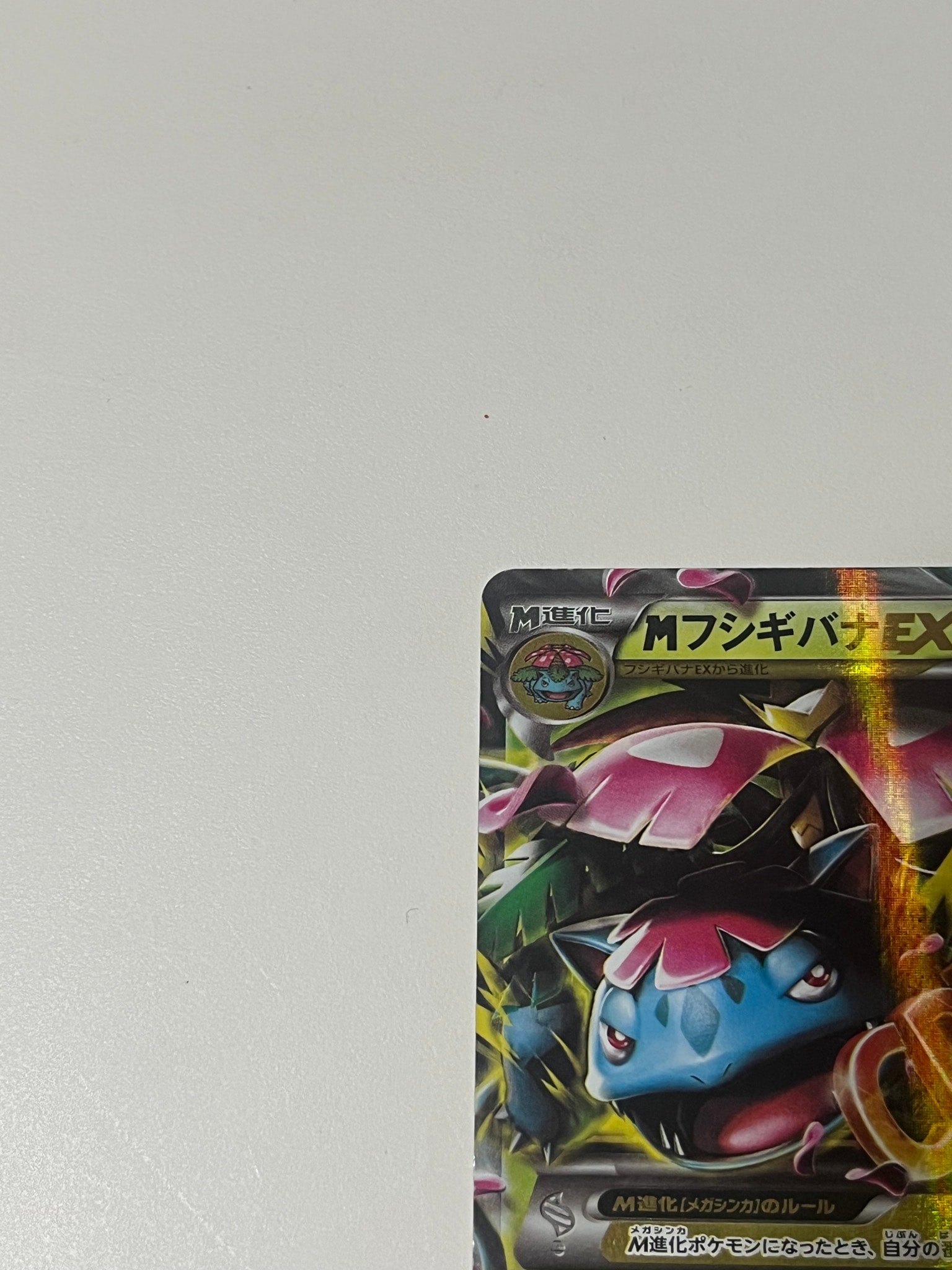 B（小さなキズ/ソリがある品）】MフシギバナEX RR :1ED [XY1 002/060
