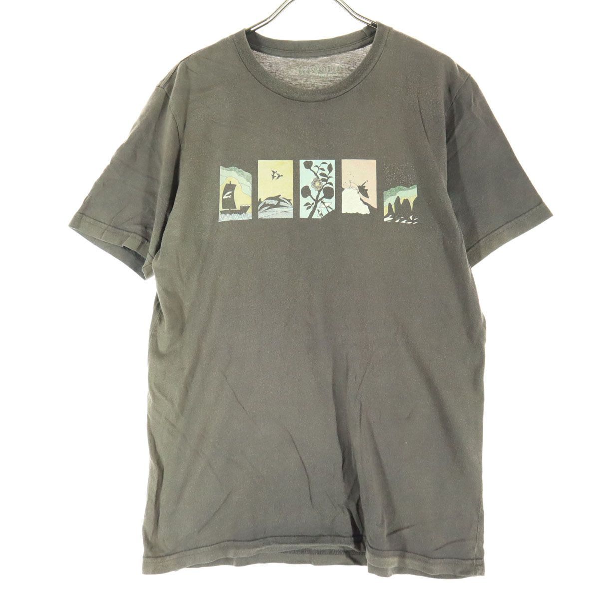 patagonia パタゴニア 半袖 Tシャツ