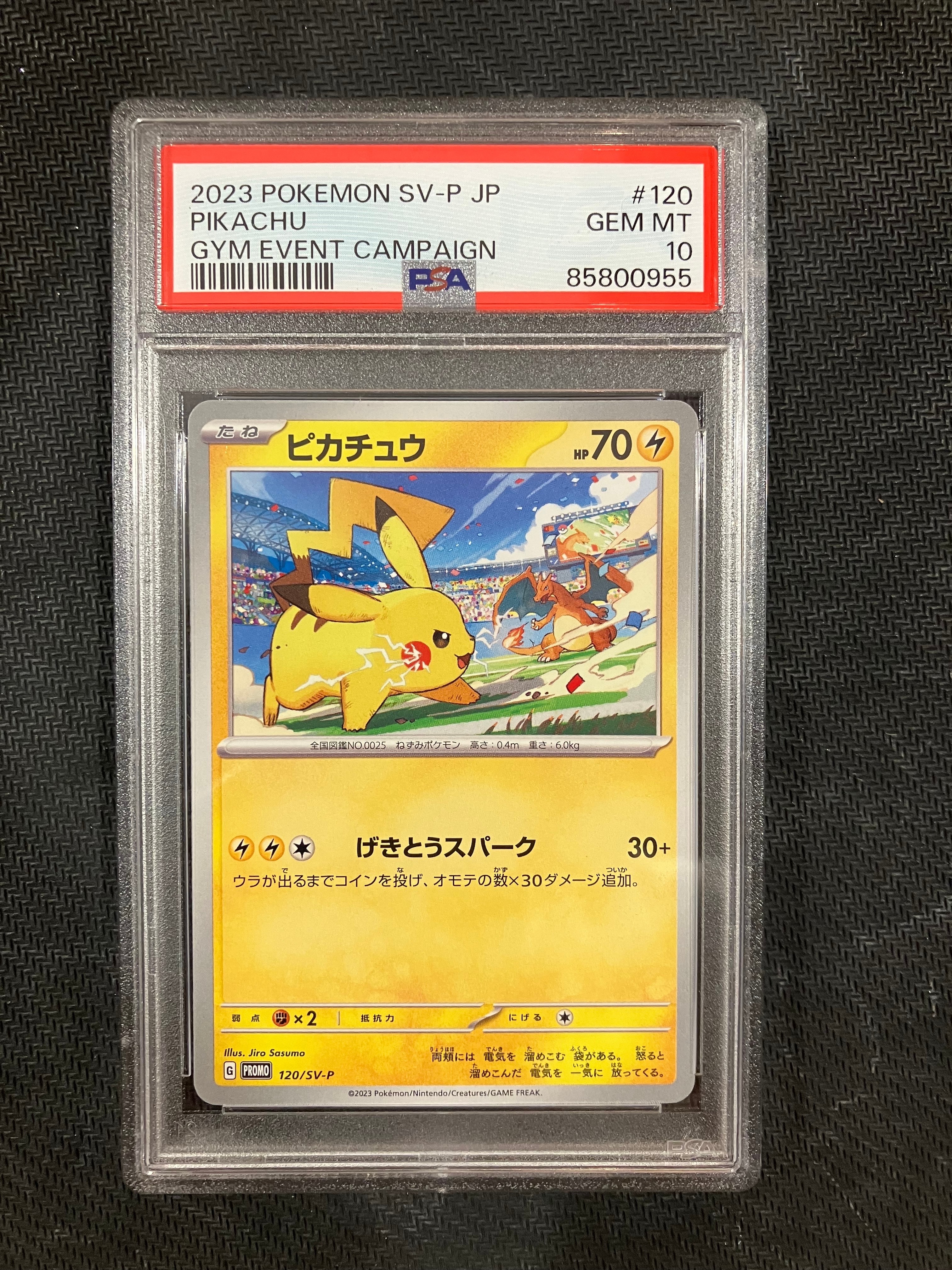 ピカチュウ: プロモ [SV-P 120](プロモーションカード「SV-P」)
