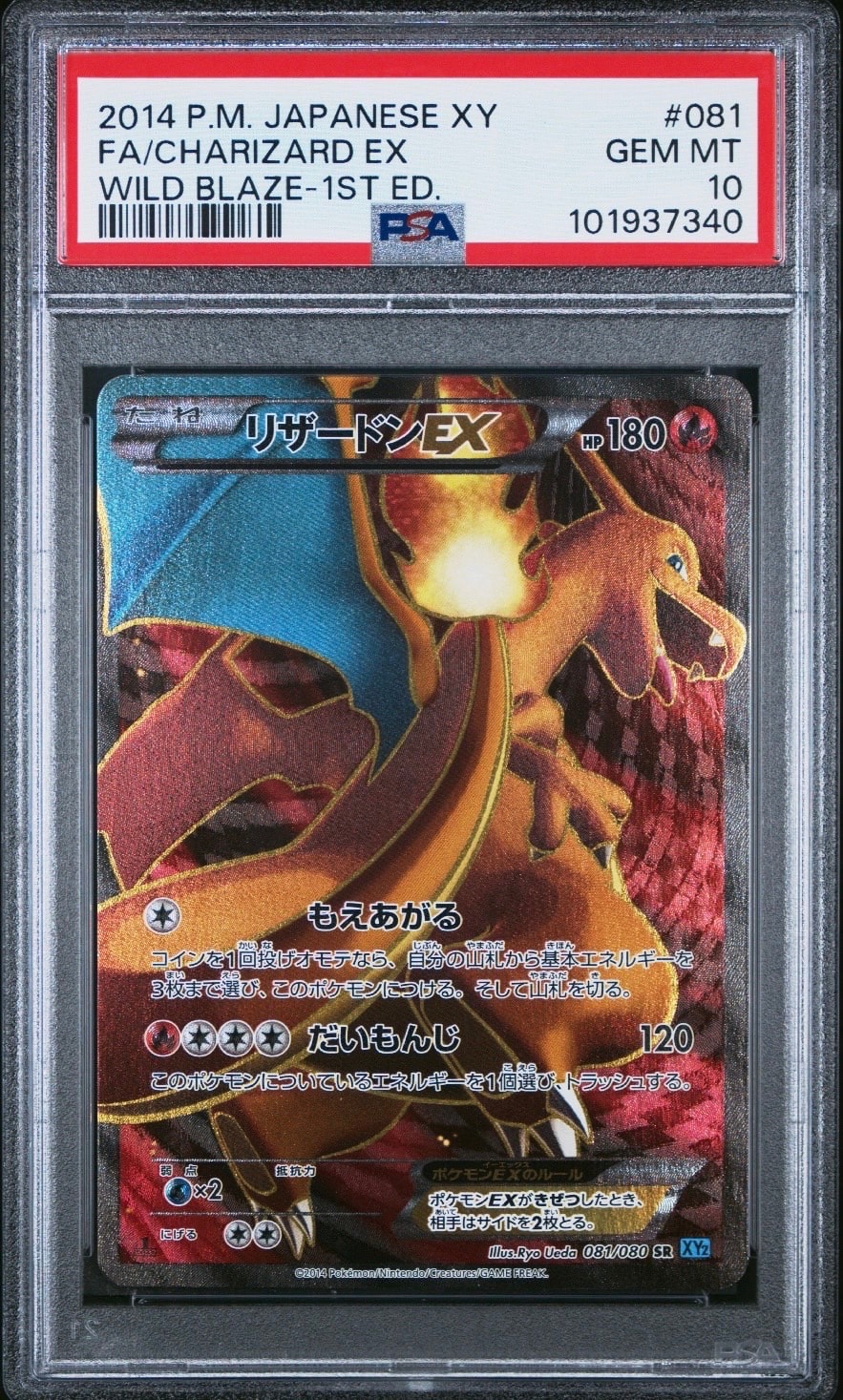 PSA10 ドクロッグEX SR XY2 ワイルドブレイズ 083/080 ワイルド