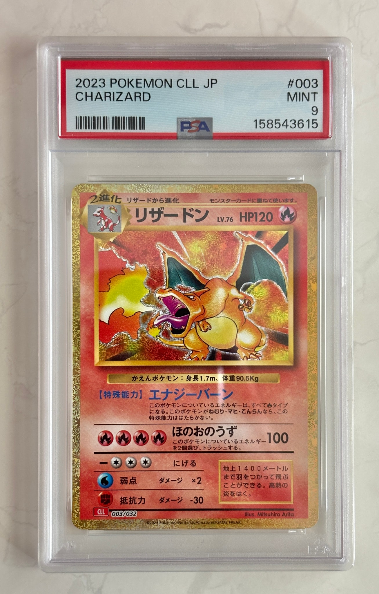 7403127.jpeg?size=m