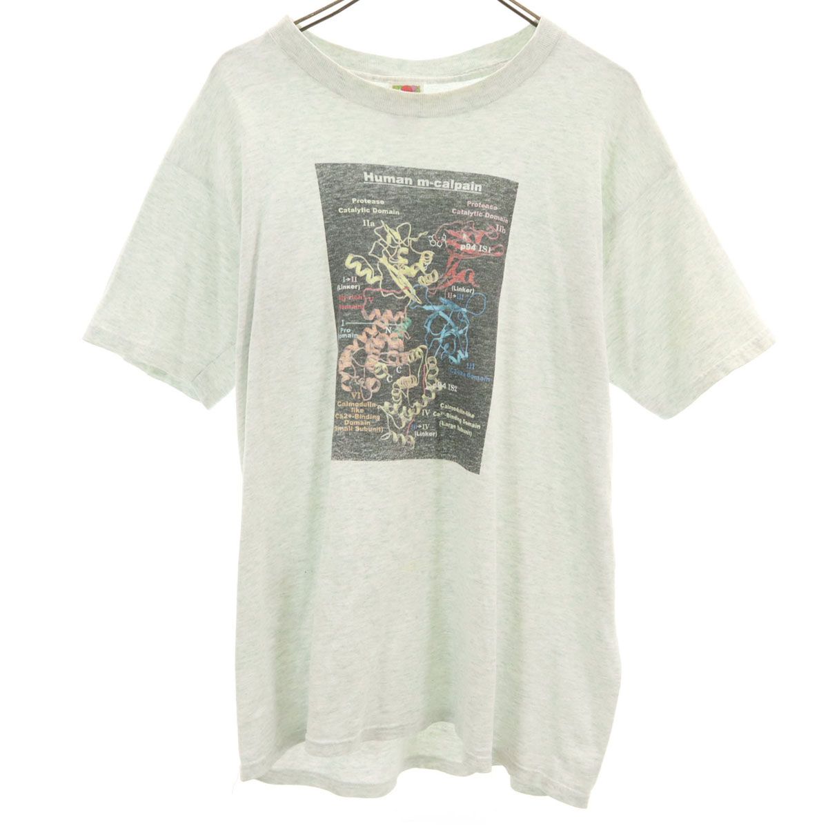 FRUIT OF THE LOOM フルーツオブザルーム オールド ヒトｍ-カルパイン 半袖 Tシャツ L グレー