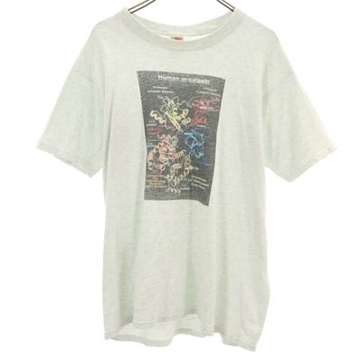FRUIT OF THE LOOM フルーツオブザルーム オールド ヒトm-カルパイン 半袖 Tシャツ L グレー