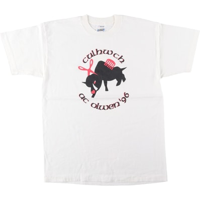 古着 90年代 フルーツオブザルーム FRUIT OF THE LOOM SCREEN STARS スクリーンスターズ プリントTシャツ USA製 メンズL相当 ヴィンテージ/eaa642067