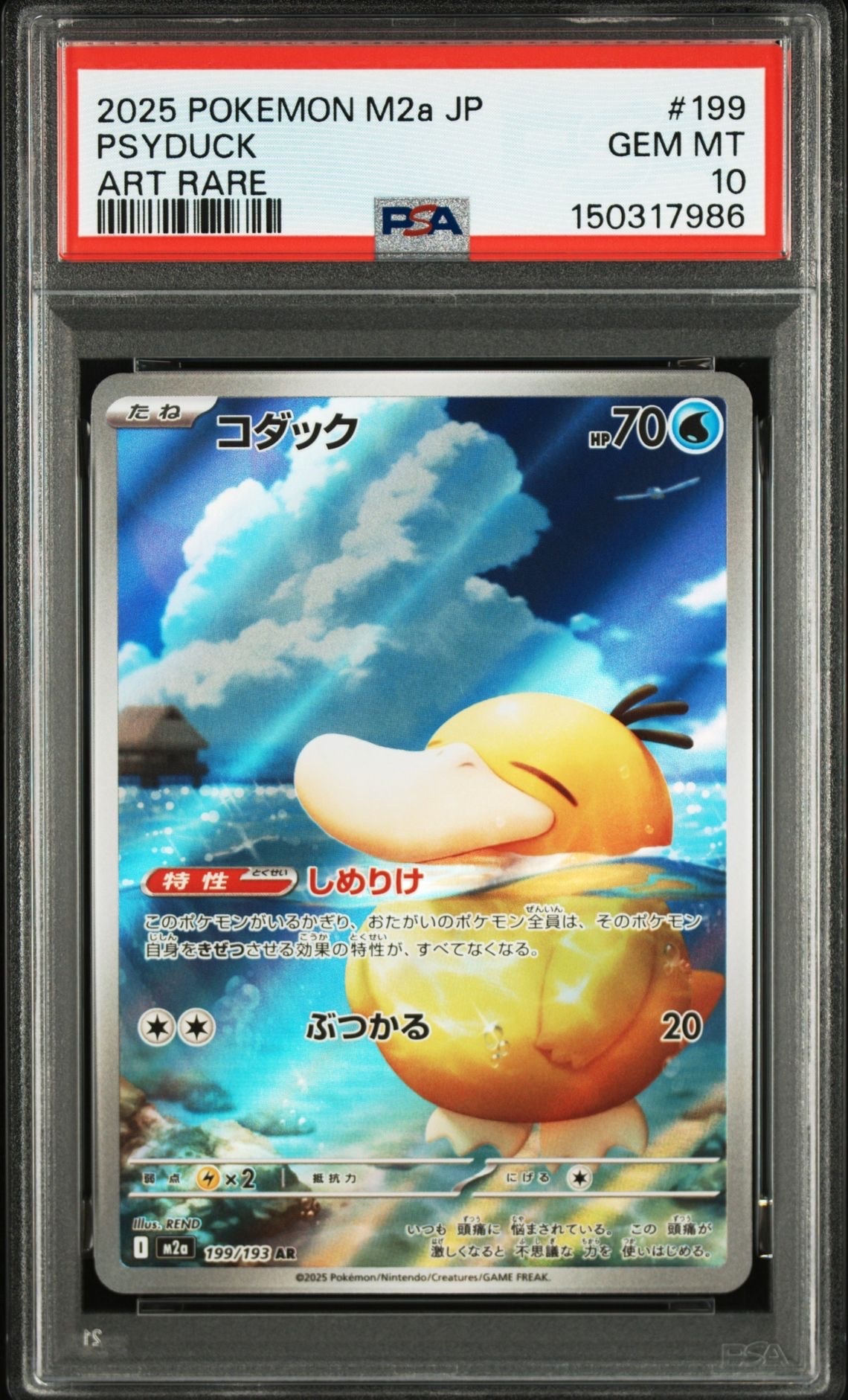 コダック AR [M2a 199/193](ハイクラスパック「MEGAドリームex」)